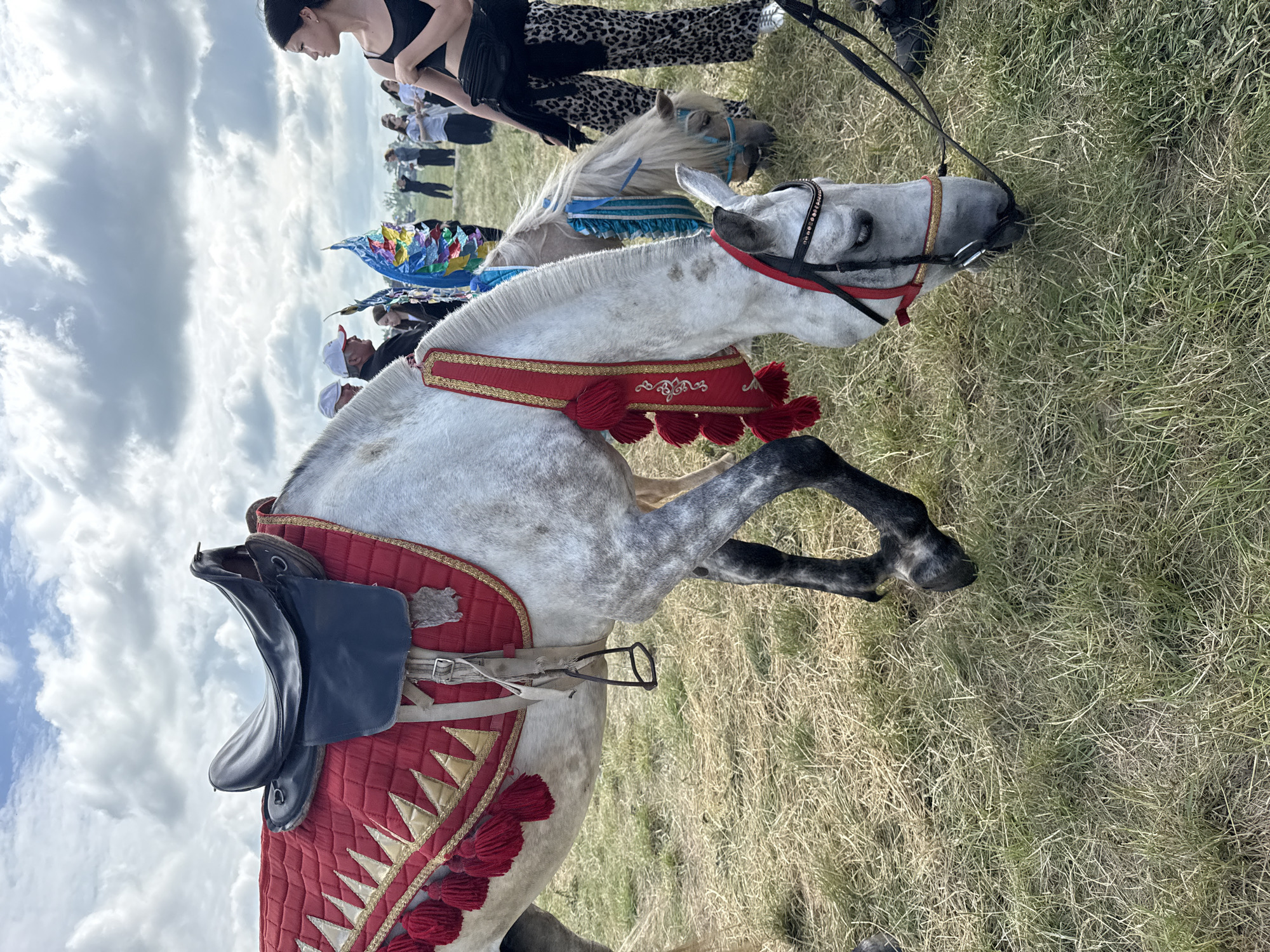 An outdoor event is taking place under a cloudy sky with some sunlight. The primary subject is a white horse adorned with a red and gold saddle pad and tassels. The horse is grazing on dry grass. To the right of the horse, another white horse with blue and silver decorations is visible, also grazing. In the background, several people are standing, some wearing white caps. A young woman with dark hair and a black top is standing in the foreground on the right, looking to the side. The event appears to be a fair or festival, possibly in the village of Nurkeevo, Russia, given the context.