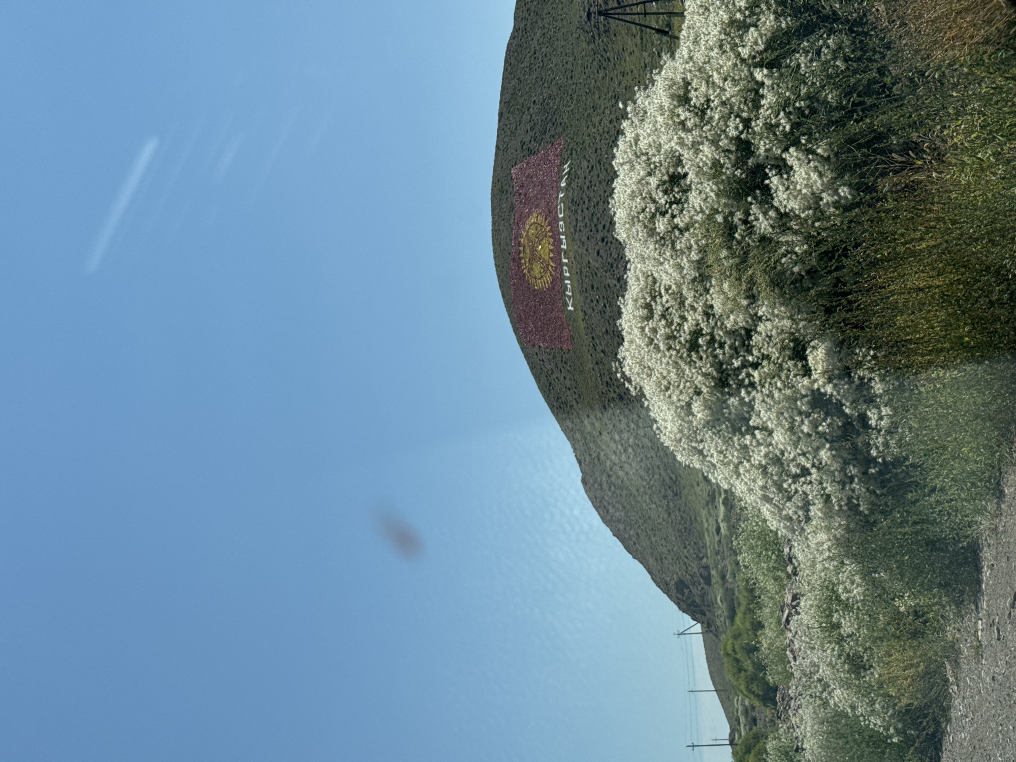 A wide shot captures a hillside in Kok-Moinok - 1, Kyrgyzstan, on a clear, sunny day. The upper portion of the image shows a bright blue sky with a few faint, wispy clouds. Dominating the hillside is a large display of the Kyrgyz flag, formed by what appears to be red and yellow material arranged on the green slope. Below the flag, the word "КЫРГЫЗСТАН" (Kyrgyzstan in Cyrillic) is written in large, white letters. In the foreground, a dense patch of fluffy white flowers and green vegetation grows along the base of the hillside. In the background, several utility poles are visible. A dark, blurry smudge is present in the upper left quadrant of the sky.