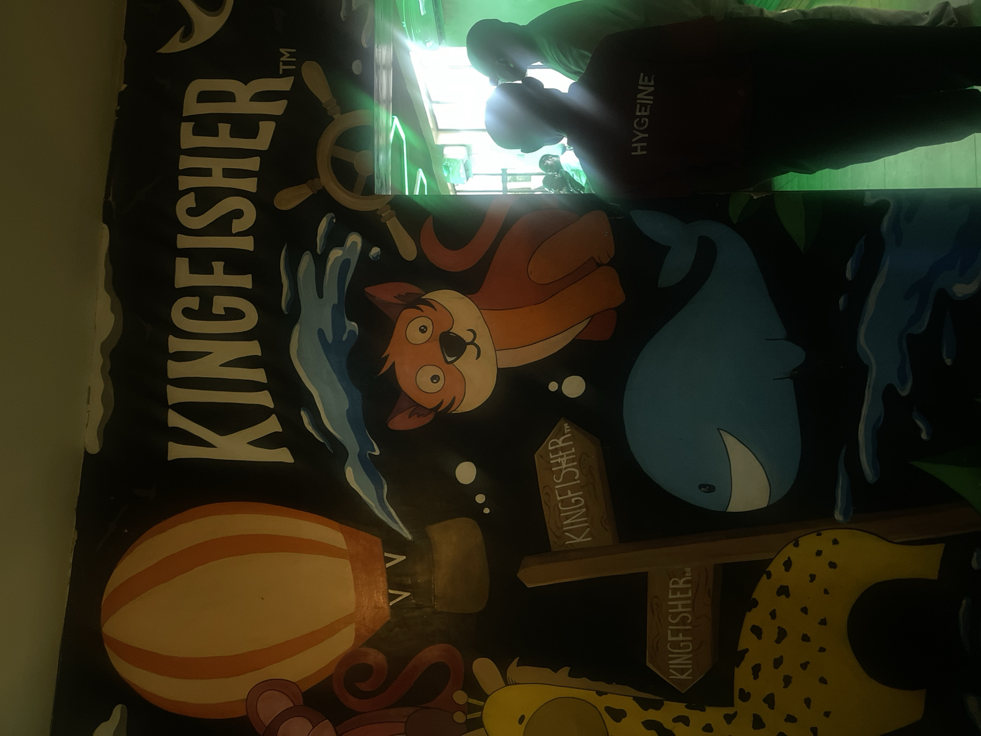 The image shows a colorful mural with cartoon-style images: a hot air balloon, an orange cat, a blue whale, and a giraffe pattern. The word "KINGFISHER" is written prominently along the left edge of the mural and also appears on cross-shaped signposts in the mural.
Two people are standing near the mural. One person's shirt has the word "HYGEINE" written on it. The environment appears to be indoors, with a bright window in the background. The location is not specified in the image.