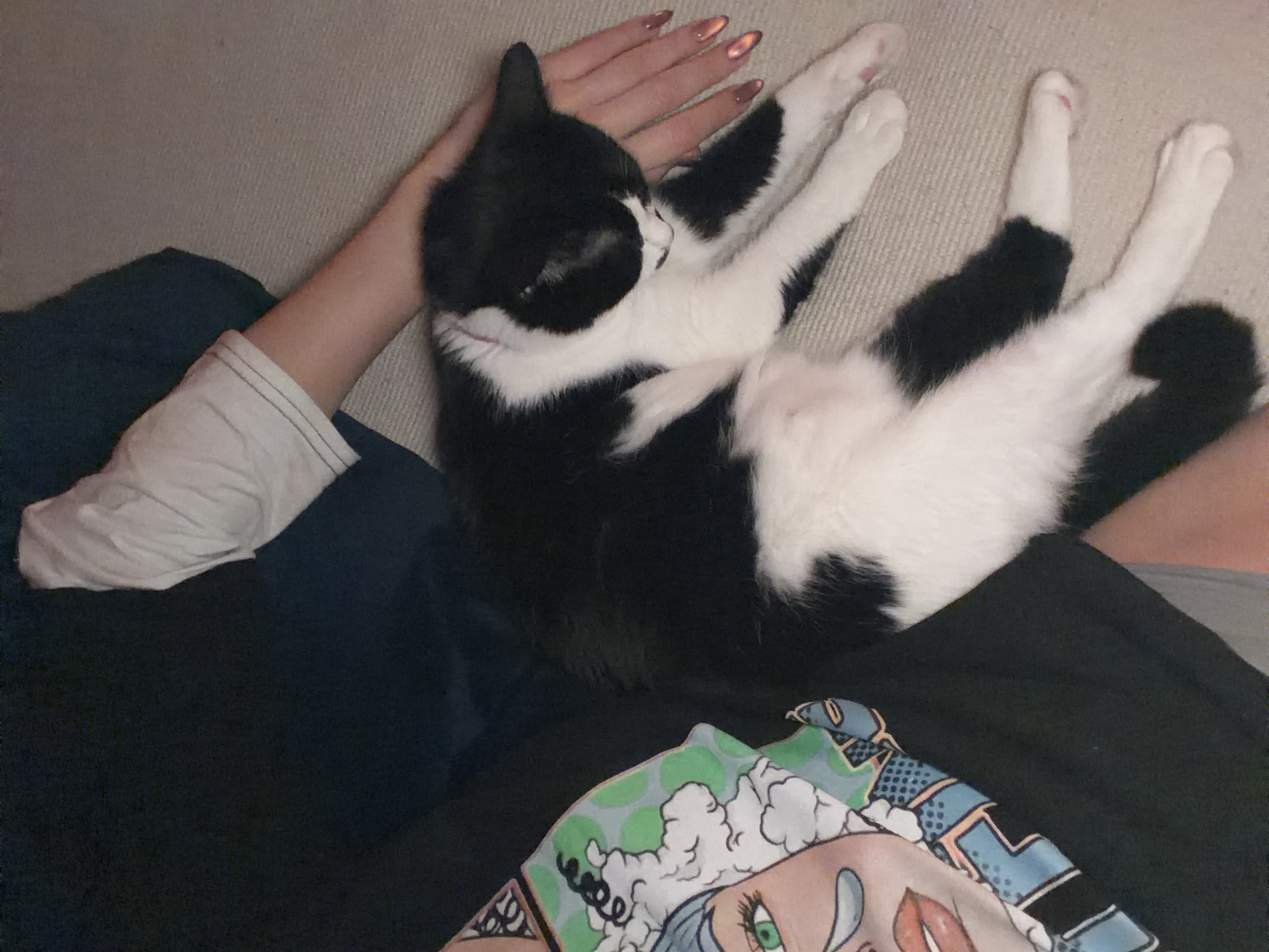 A black and white cat is lying on a person's lap, with the person's hand resting on the cat's head. The cat is mostly white on its belly and legs. The person is wearing a white shirt with a dark sleeve and a black shirt with a colorful design. The background appears to be a beige fabric. This image does not depict a location in Belgrade, Serbia.