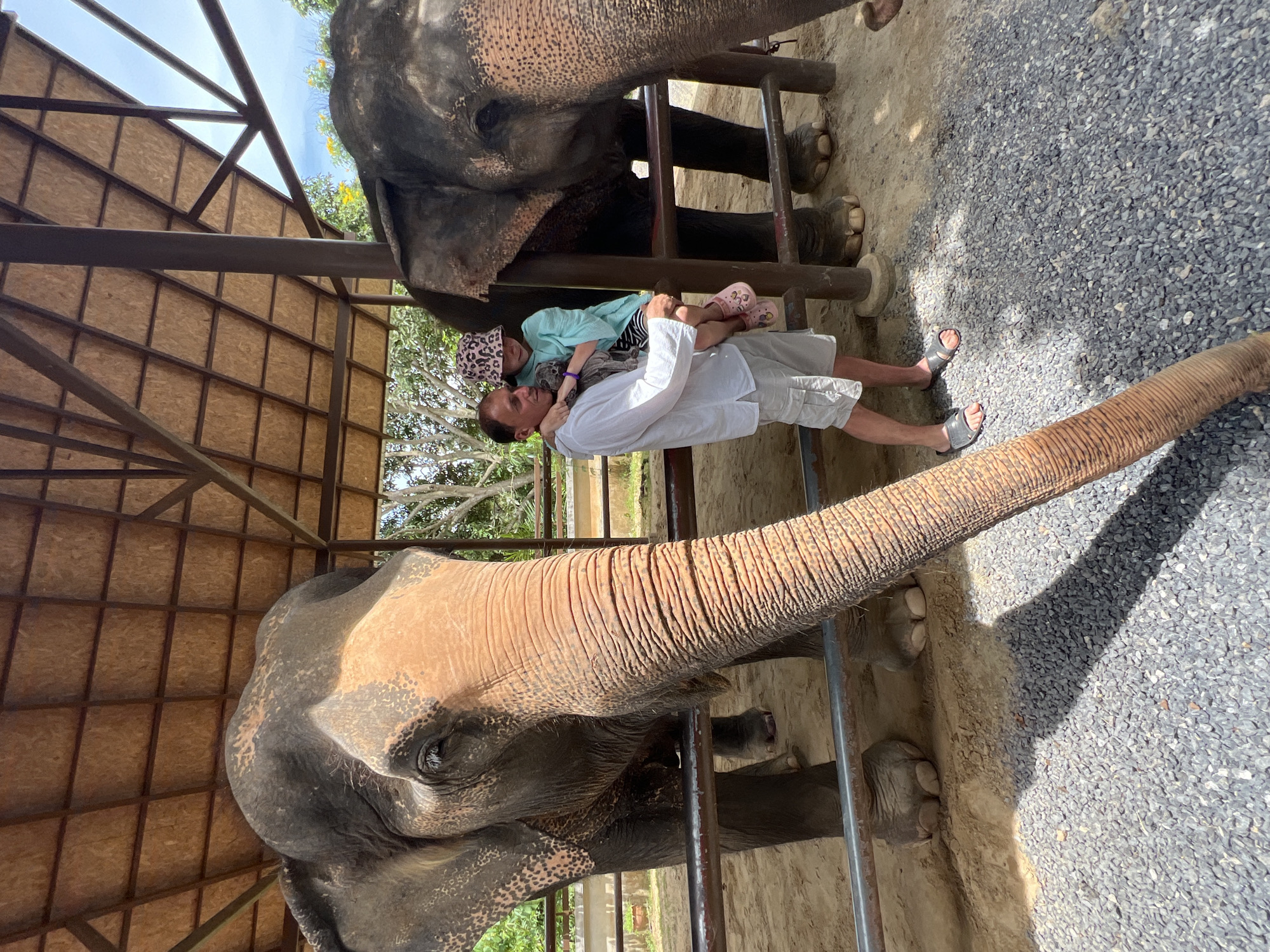 In Baan Thurian, Thailand, a man holding a young girl is standing in front of two elephants under a wooden canopy. The man, wearing a white long-sleeved shirt and grey shorts, is looking at the girl, who is wearing a blue shirt and a patterned hat, and is leaning against him. The girl is looking forward. The elephants are behind a metal railing. The elephant on the left is closer to the camera and its trunk is extended towards the foreground. The elephant on the right is partially visible behind the man and the girl. The ground is covered with gravel and sand. Trees and foliage are visible in the background. The sky is visible through gaps in the canopy.