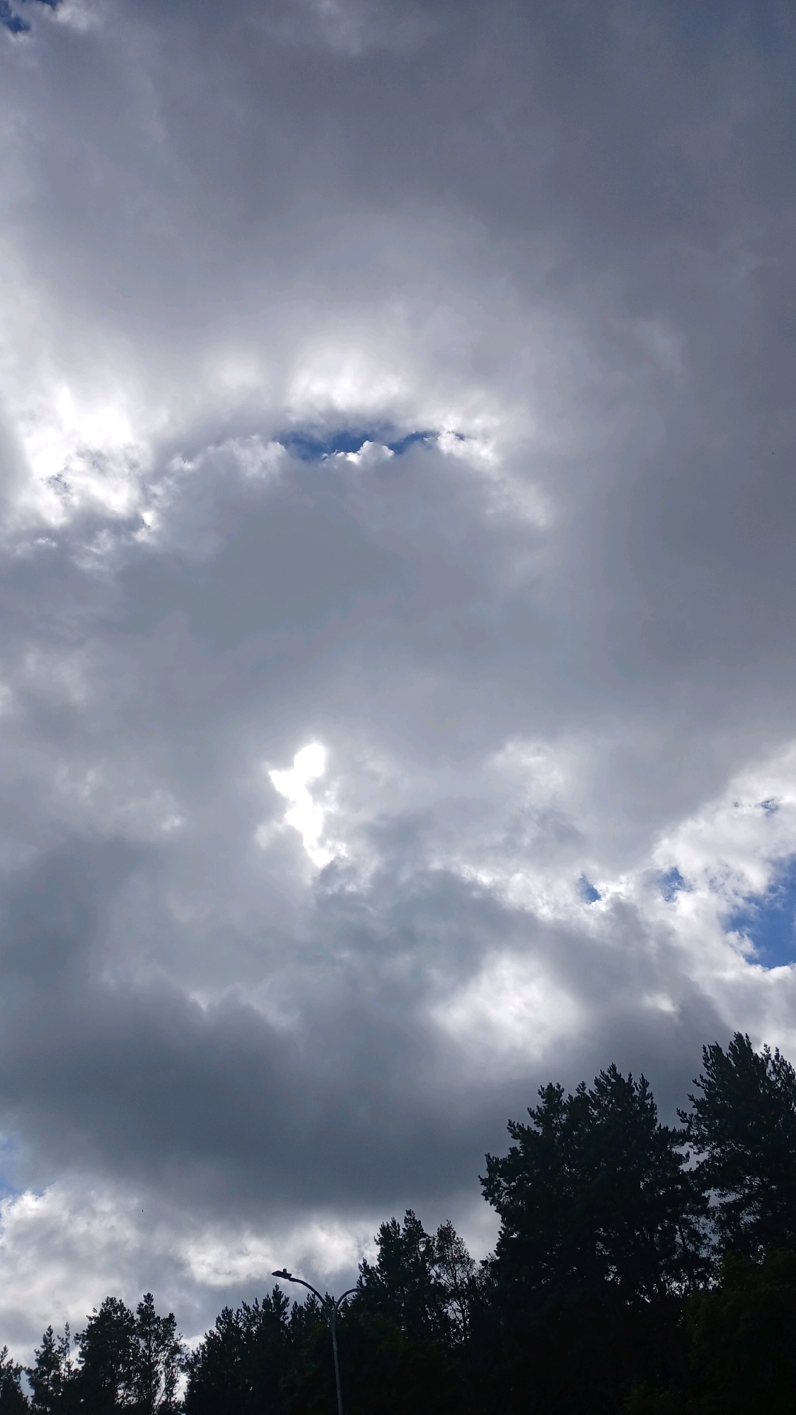 The image shows a view of the sky filled with heavy, gray clouds. There are breaks in the clouds, allowing patches of blue sky and sunlight to peek through. In the lower part of the image, the dark silhouettes of pine trees are visible, along with a lamppost. The scene is consistent with the natural landscape found in the vicinity of Visaginas, Lithuania, particularly during overcast or stormy weather.