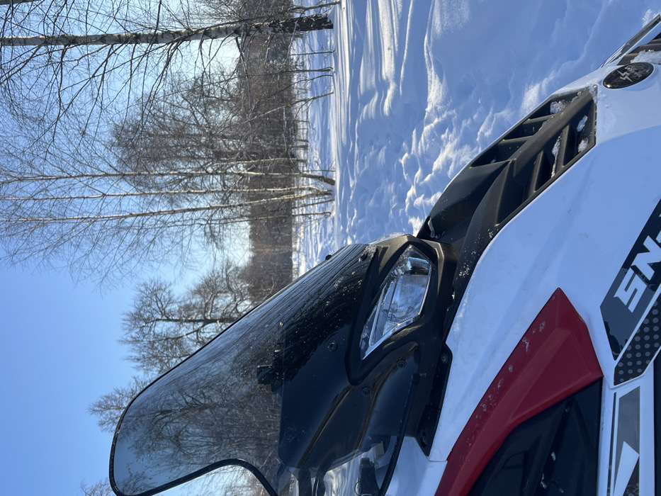 This image depicts a snowmobile positioned in a snowy, outdoor environment in Gruzinskii, Russia. The front portion of a white snowmobile, featuring red and black accents, dominates the left and center foreground. Its clear windshield shows some crystalline deposits, and a prominent headlight assembly with a clear lens is visible below the dark upper cowling and grille. A partial graphic reading "SN" is present on the lower left side. The background consists of a snow-covered landscape under a clear, bright blue sky. Numerous leafless deciduous trees, characteristic of a winter forest, are scattered throughout the midground and distant background, casting long, distinct shadows across the pristine snow. A winding path or track is visible in the snow, extending from the midground towards the distant tree line. No individuals or active subjects are present in the scene.