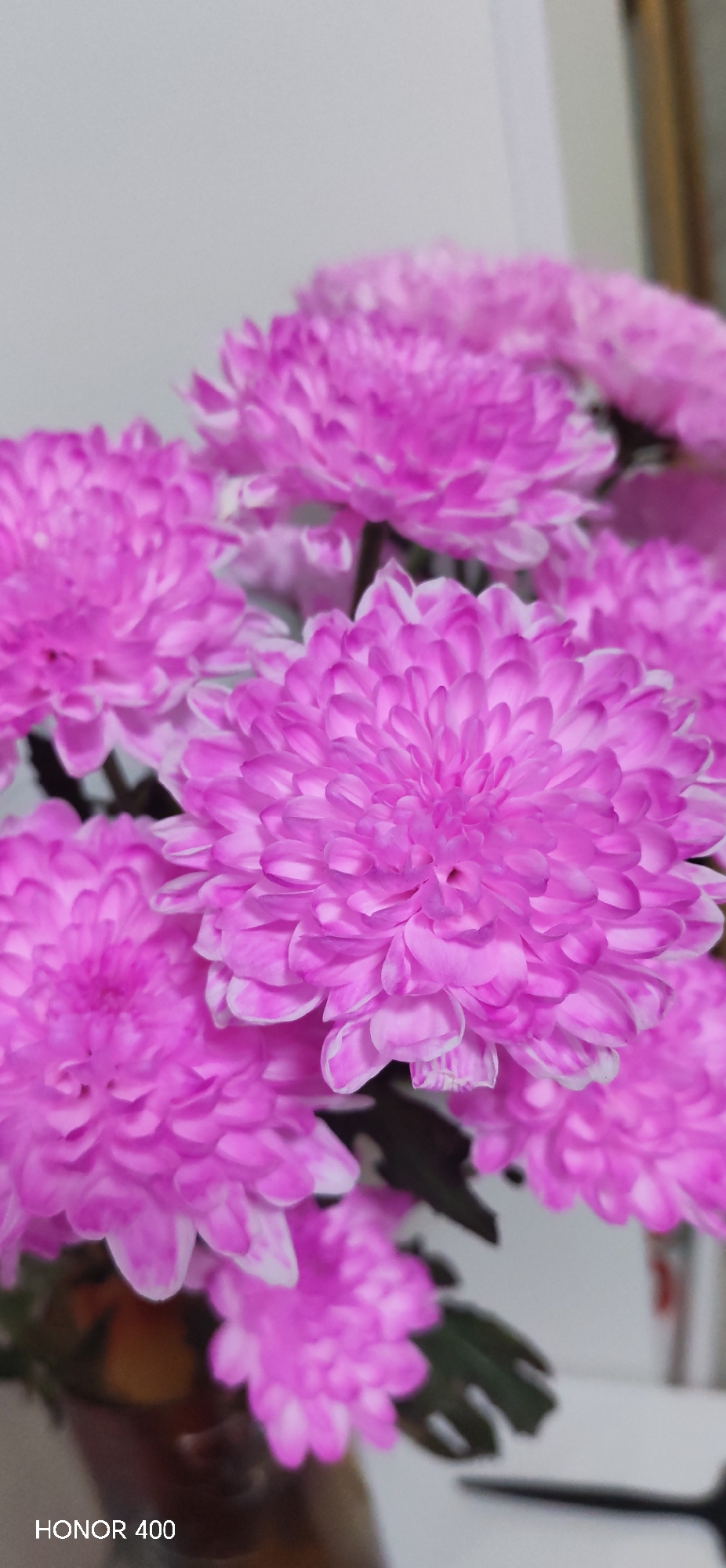 A close-up shot shows a bouquet of bright pink chrysanthemums. The flowers are in focus, with layers of delicate petals. The background is blurred, showing a white or light-colored wall. The camera model "HONOR 400" is printed in the bottom left corner. Noviy, Russia is not depicted.