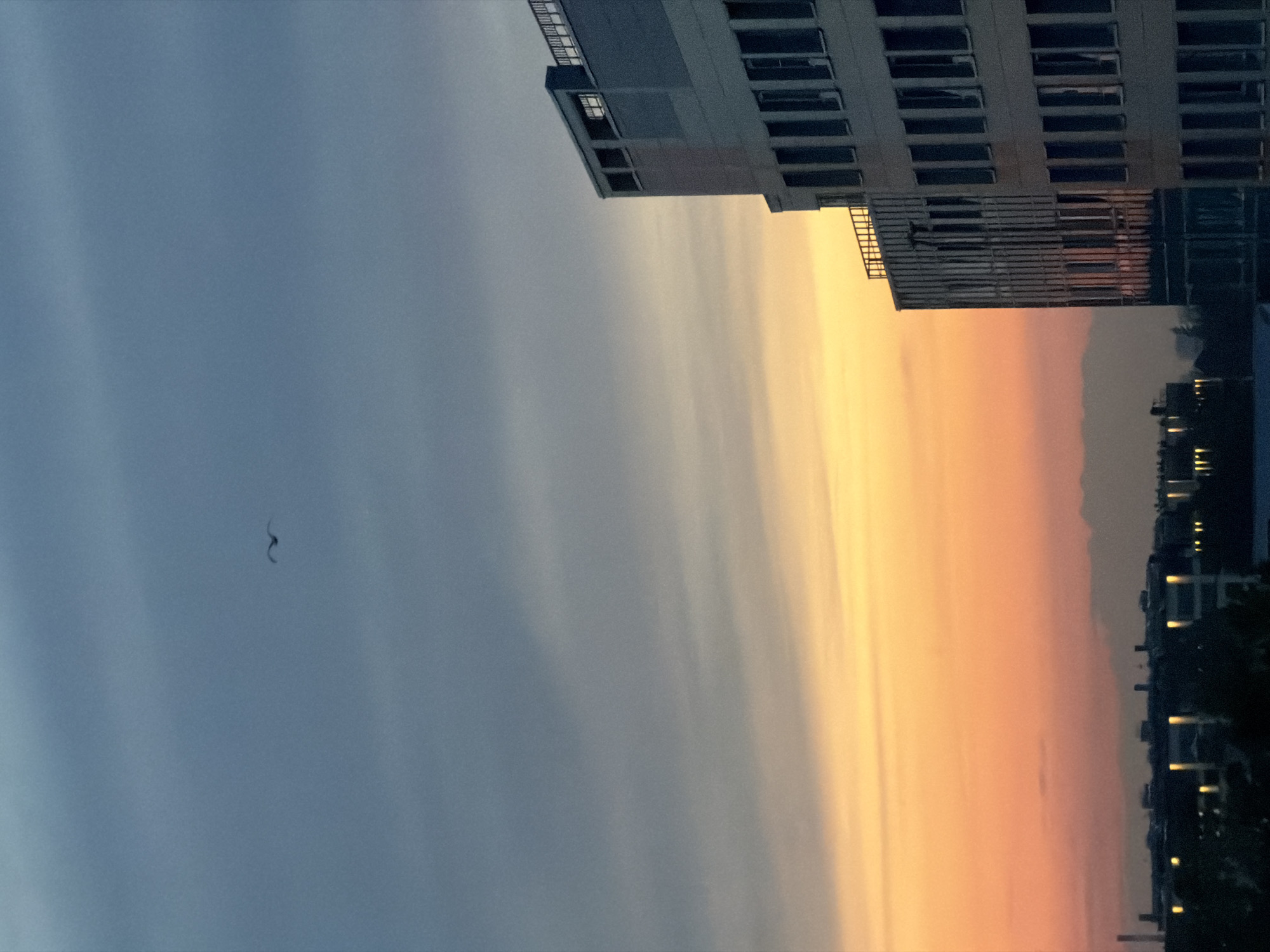 This image presents an urban landscape at twilight, likely a sunset, over the city of Saint Petersburg, Russia. The sky dominates the upper two-thirds of the frame, exhibiting a gradient from a muted blue-grey at the top to an intense orange and yellow along the horizon, with subtle, elongated cloud formations. A single, dark avian silhouette, consistent with a bird in mid-flight, is positioned in the upper-center portion of the blue-grey sky.
Two multi-story buildings are partially visible on the right side of the image. The prominent structure in the foreground is a light-toned, possibly off-white, building featuring numerous dark, rectangular windows arranged in horizontal rows; some windows appear to be open or damaged. Behind and slightly to the left, another building with vertical architectural elements is partially visible, reflecting the ambient light. Both buildings feature visible rooftop railings.
The lower third of the image reveals a dense urban panorama rendered in silhouette against the bright horizon. Numerous artificial light sources, appearing as distinct, small, yellowish-white rectangles or streaks, are illuminated within this distant cityscape. In the far background, faint, indistinct dark forms, suggestive of distant low-lying landforms or large structures, are visible against the orange sky, partially obscured by atmospheric haze. No human subjects are discernible in the scene.