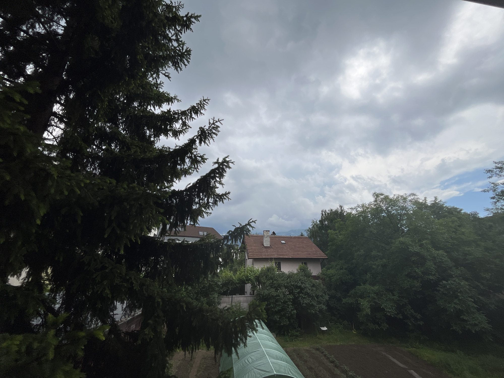 The image depicts a view from an elevated position, looking out over a residential area with lush greenery under a cloudy sky. In the foreground, a large evergreen tree with dark green needles occupies the left side of the frame. Partially visible through the branches of this tree are parts of houses. One house, with a terracotta tiled roof and a light-colored facade, is prominent in the middle ground, featuring windows and a chimney. Another house, similar in style, is visible behind it.
Beyond the houses, dense trees form a verdant backdrop. A greenhouse, made of a translucent green material stretched over a frame, is situated in the lower part of the image, in front of a garden with tilled soil. The sky is overcast with a mix of gray and white clouds, with hints of blue sky peeking through. The overall impression is that of a suburban or semi-rural setting, possibly on the outskirts of a city. The scene is static, with no people or animals visible. The lighting suggests it is daytime, likely late afternoon or early morning given the subdued light. The presence of the greenhouse and garden indicates agricultural activity.