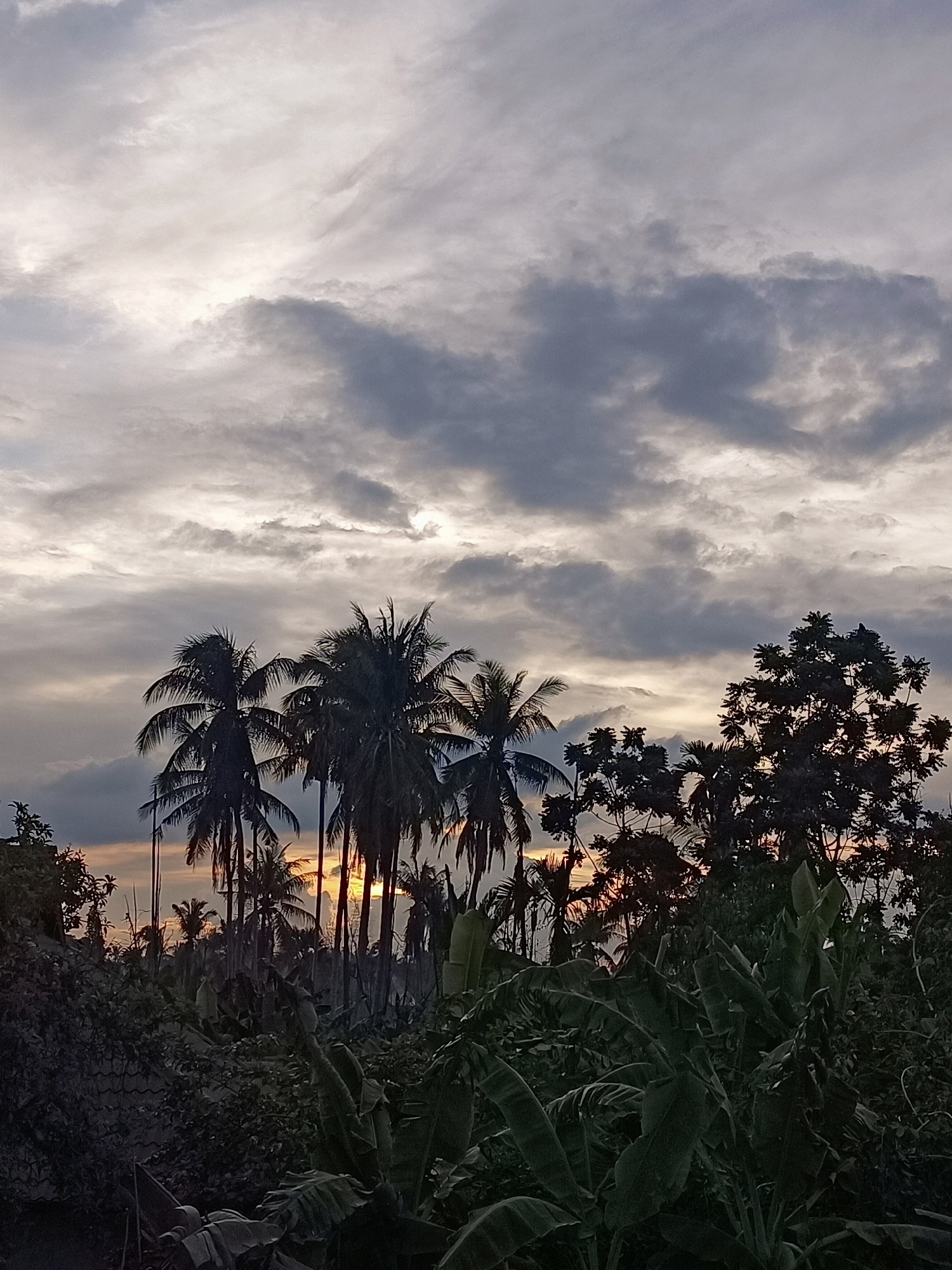 This is a photograph of a cloudy sky at sunset in Blang Cut, Indonesia. Tall palm trees and other dense foliage are silhouetted against the sky. The sun is partially visible through a gap in the clouds, casting a warm glow. The overall mood is tranquil and natural, with the lush greenery suggesting a tropical environment.