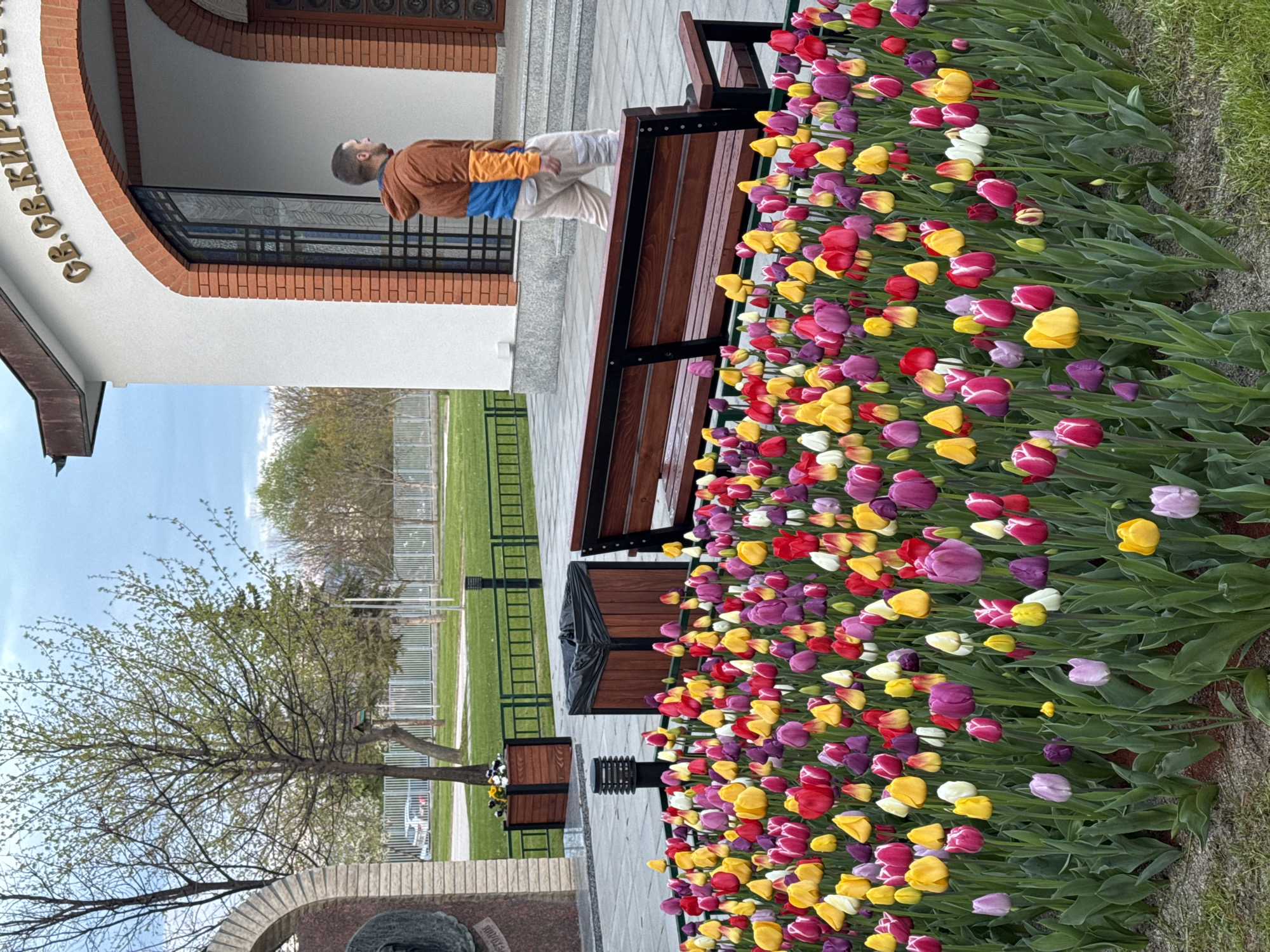 A medium shot captures a man sitting on a bench next to a tulip bed in Sofia, Bulgaria. The man, dressed in a brown, yellow, and blue jacket and light-colored pants, is looking toward the building next to the bench. The bench is wooden with black metal supports. Adjacent to the bench is a flower bed full of red, yellow, purple, and white tulips. Beyond the bench and flowers is a green lawn bordered by a white fence. To the left, there is a tree in partial leaf and a stone memorial. Behind the man, there is a white building with brick accents and Cyrillic letters written above the entrance. The sky is partly clear.