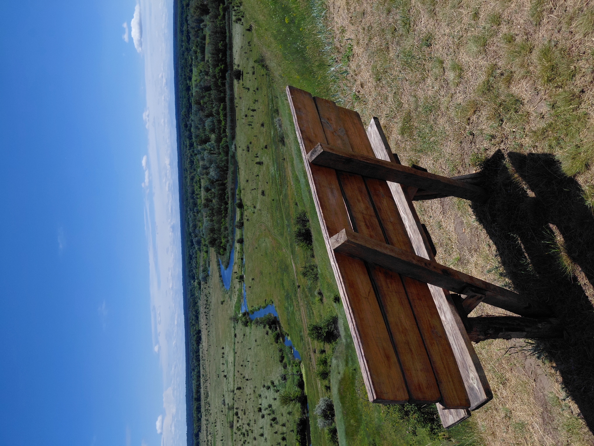 An eye-level, medium shot captures a wooden bench positioned on a grassy knoll overlooking a vast, green valley. The bench, constructed from weathered planks, faces away from the viewer, its backrest angled towards the expansive landscape. In the distance, a winding blue river snakes through the verdant terrain, bordered by a dense line of trees that stretches across the horizon. The sky above is a vibrant, cloudless blue. The foreground is dominated by the bench and the dry, sun-baked grass surrounding it, with the shadow of the bench cast distinctly on the ground.