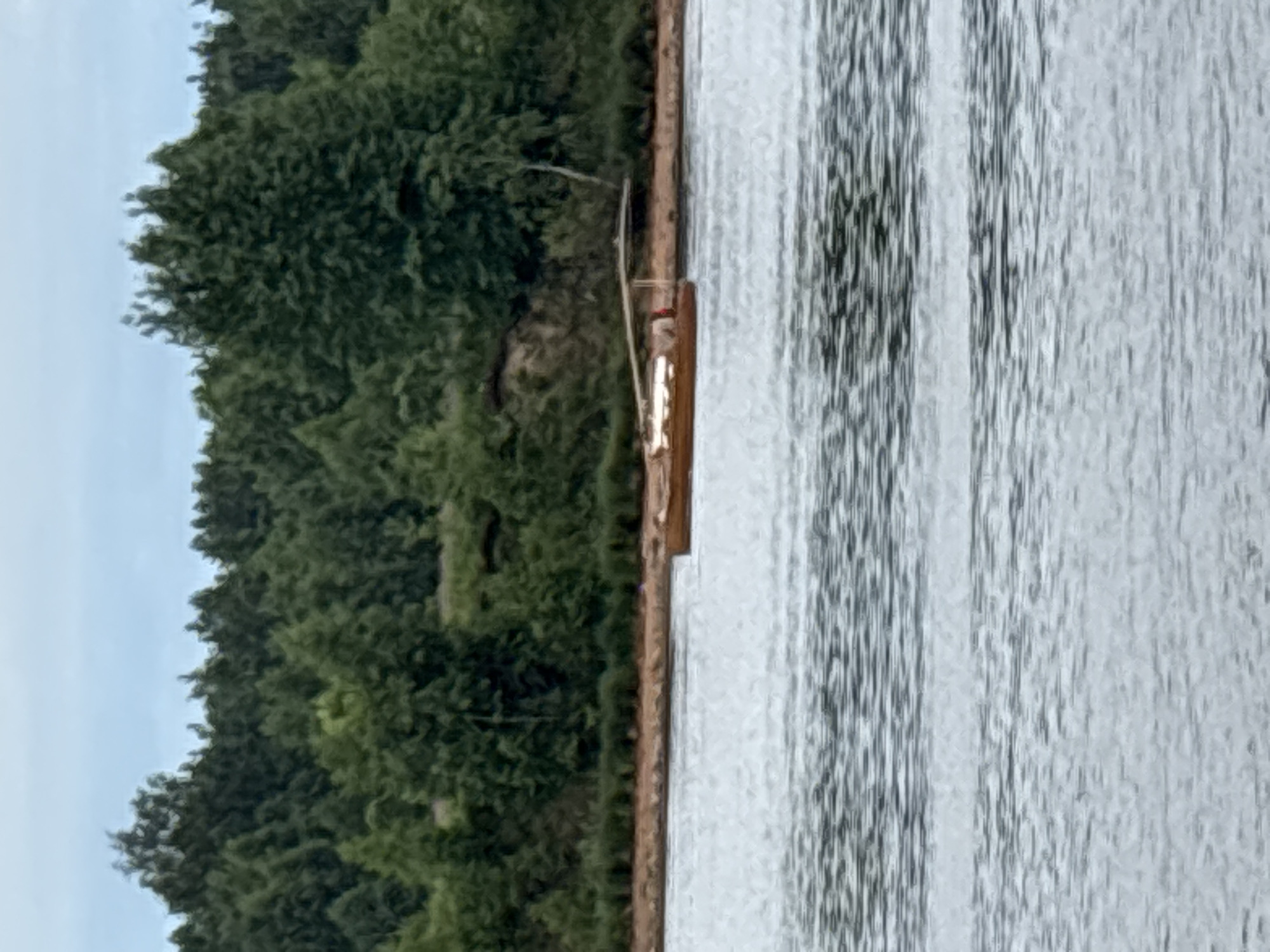 A long, narrow wooden boat with a canopy is moored on the Neva River in Nevskaya Dubrovka, Russia. The boat contains at least two people and appears to be carrying cargo covered by a white tarp. The riverbank is lined with dense green trees, and the sky is overcast. The water is choppy, with visible ripples and waves.