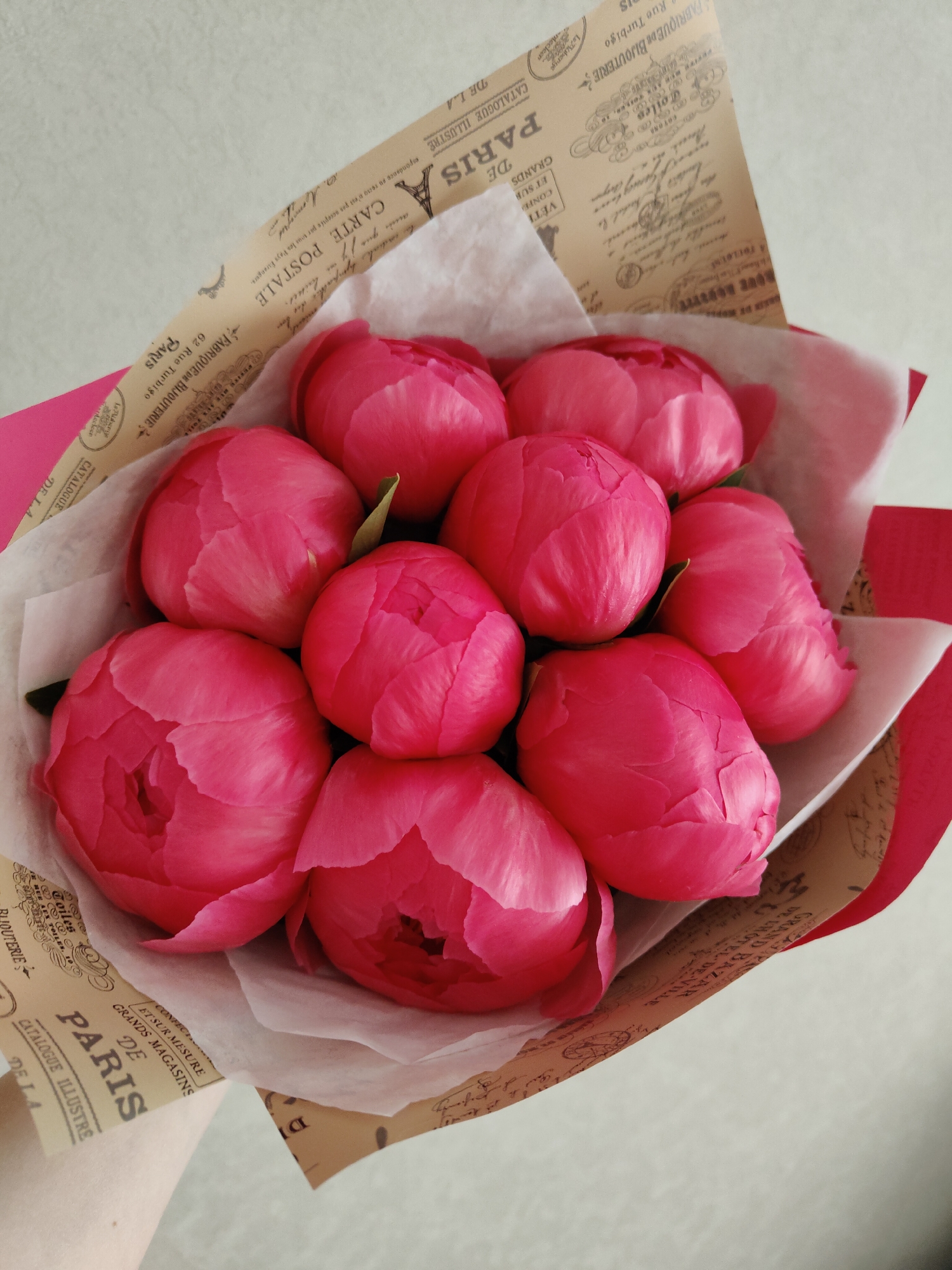 A hand holds a vibrant bouquet of numerous bright pink peonies, tightly wrapped in several layers of paper. The innermost layer is a delicate white translucent paper, followed by an antique-style brown or beige paper with French text and illustrations, and an outer solid hot pink or red paper. The peonies are mostly closed buds, indicating freshness, and fill the center of the frame.
A light-colored, possibly off-white or very light grey, background is visible around the bouquet, suggesting an indoor setting. Part of a person's arm and hand, with light skin tone, is visible in the lower left, holding the bouquet.
Notable text visible on the patterned wrapping includes: "PARIS", "CATALOGUE ILLUSTRE", "DE LA", "GRANDS MAGASINS", "GRAND BAZAR", "CONFECTION", "ET SUR MESURE", "VÊTEMENTS", "FABRIQUE DE BIJOUTERIE", "62 Rue Turbigo", "CARTE POSTALE", and "La correspondance sus recto n'est pas acceptée par tous les Pays Etrangers." Other words like "Toiles", "COTONS", "Auberge", and "Boutique" are also discernible, along with a small illustration of the Eiffel Tower. The overall aesthetic of the wrapping is vintage French.
