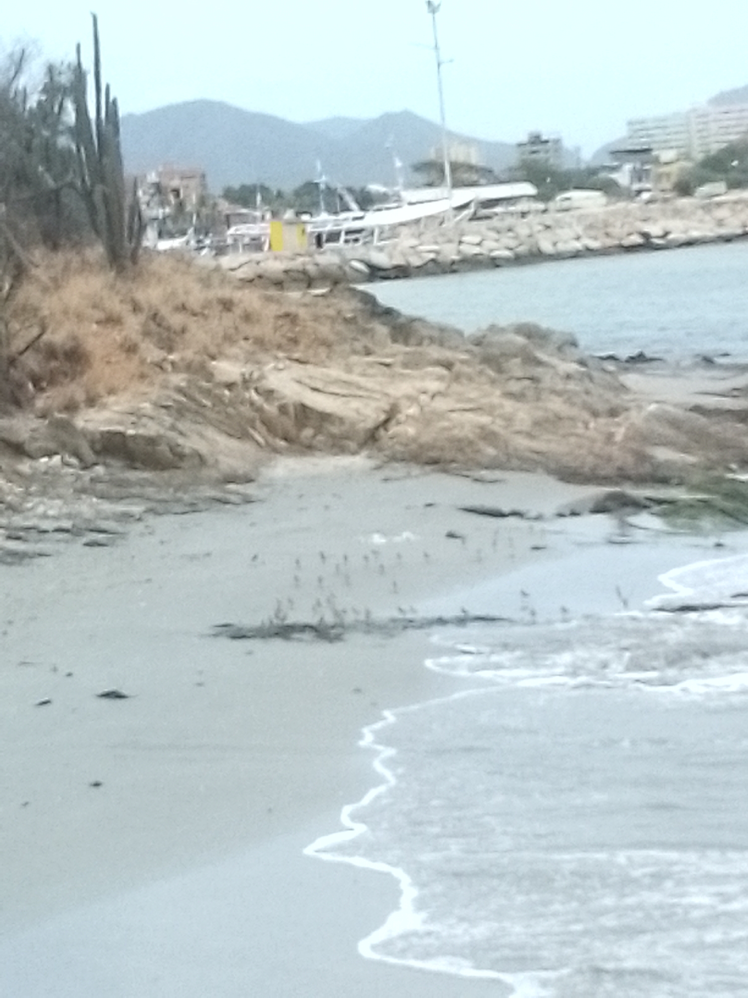 The image depicts a coastal scene, likely a beach, in the city of Juan Griego, Venezuela. The foreground shows a sandy beach with gentle waves breaking along the shoreline. In the mid-ground, there's a rocky outcrop covered with dry, yellowed vegetation. Behind the rocks are structures resembling boats or harbor facilities. In the distance, there are buildings and mountains, suggesting the location is near an urban area and mountainous terrain. The sky appears overcast, giving the scene a muted, somewhat gray tone. There are no people visible in the image.
