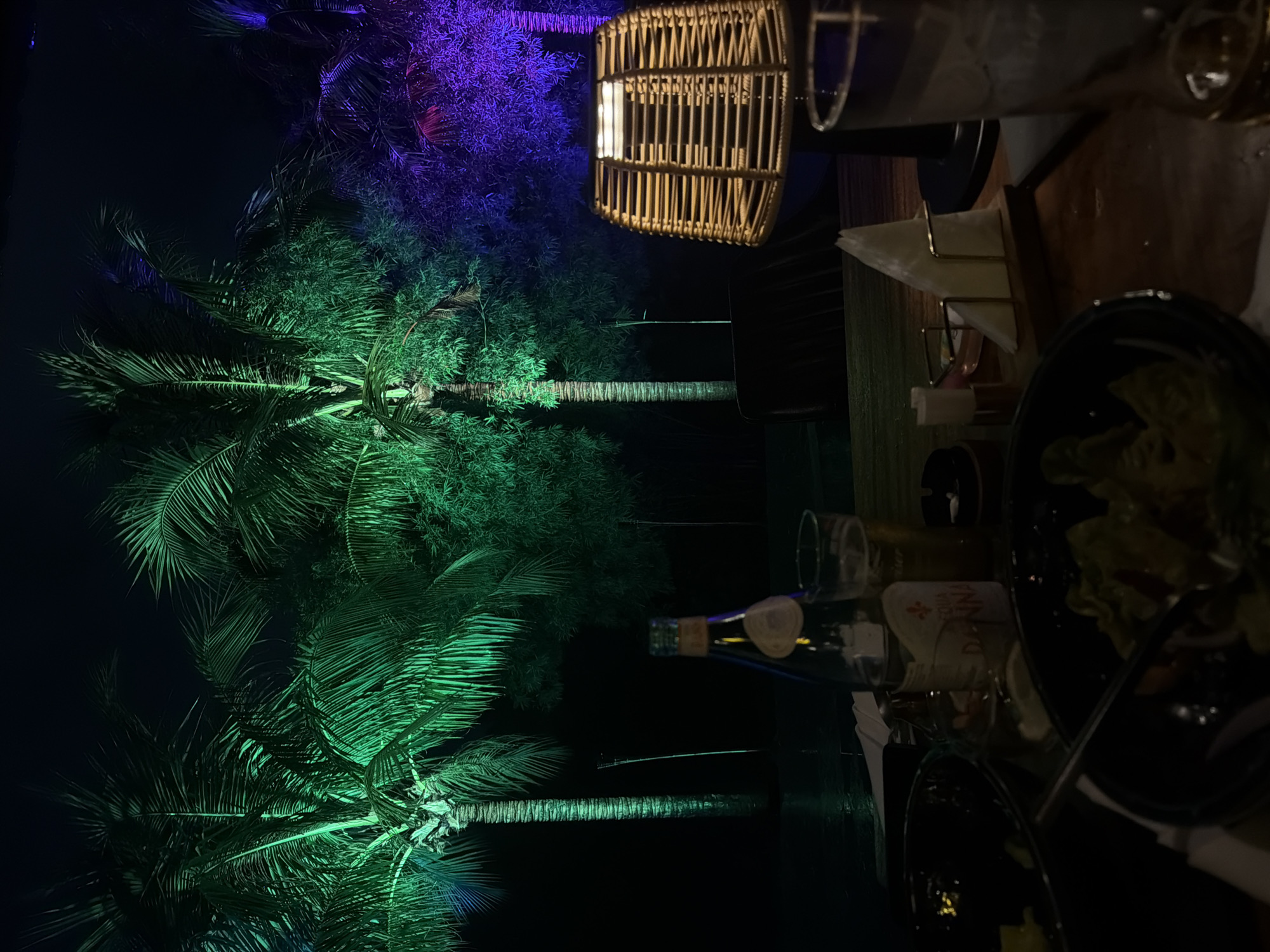 This image depicts an outdoor evening scene at a tropical location, likely a restaurant or lounge in Choeng Thale, Thailand. The dominant features are several tall palm trees and dense foliage illuminated dramatically by colored uplighting. The trees on the left are bathed in vibrant green light, while those further back and to the right are highlighted with purple hues, contrasting against the dark night sky.
In the foreground, a wooden table suggests a dining or lounging area. A decorative wicker-style hanging lamp, emitting a warm, inviting glow, is suspended over the table. Various objects are arranged on the table: a bottle of wine or spirits with a white label clearly displaying the text "DI DONNA" and other indistinct lettering. Two drinking glasses, one appearing to be a wine glass and another a tumbler, are also present. A holder filled with white napkins sits on the table, alongside two dark bowls, one of which seems to contain remnants of a meal or salad.
No people are visible, but the set table with drinks and partially consumed food implies a recent or ongoing social gathering or meal. The overall ambiance is relaxed and festive, typical of an evening at a resort or outdoor dining establishment in a tropical setting.