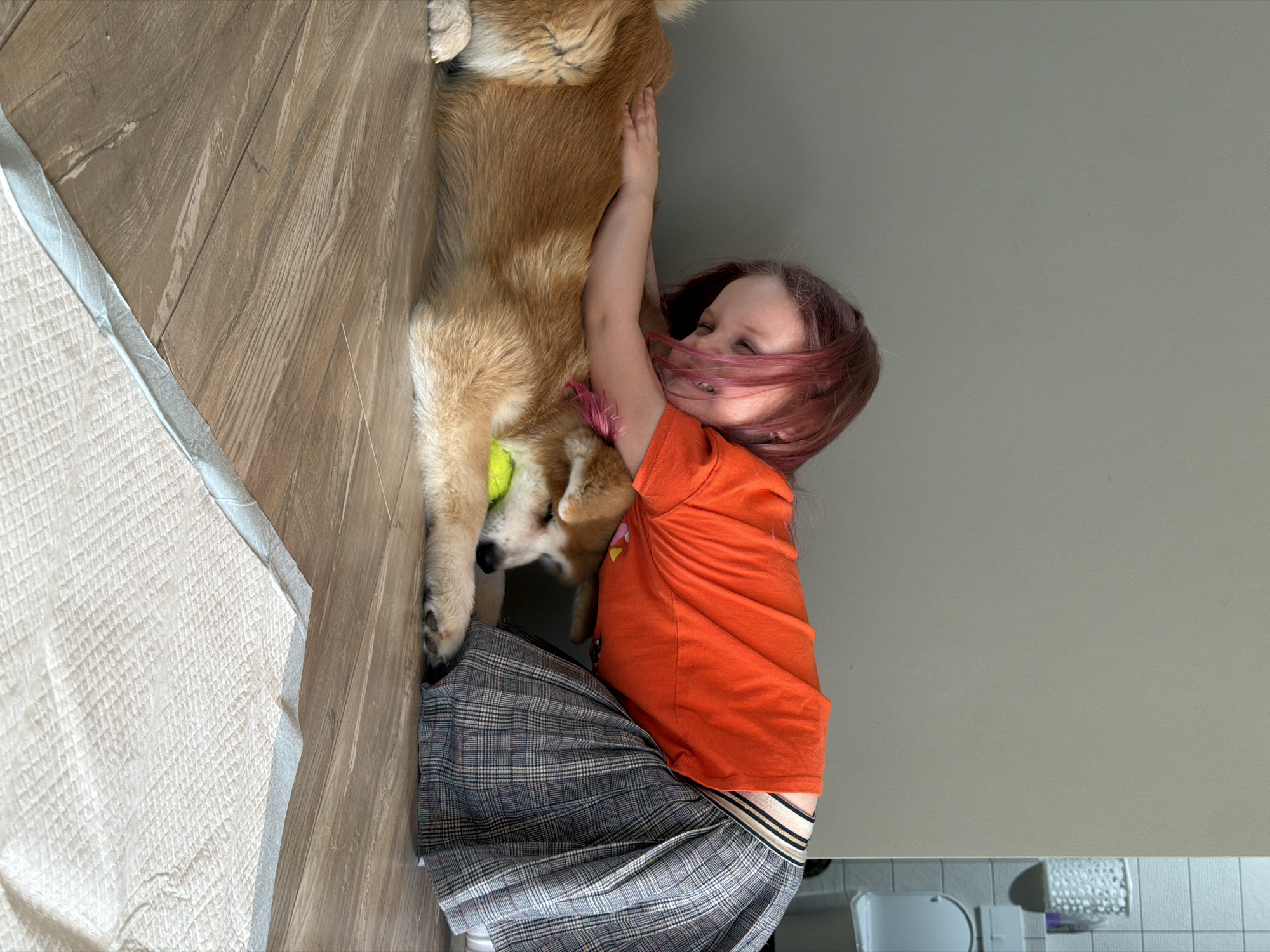 A young girl with reddish-purple hair, wearing an orange t-shirt and a grey plaid skirt, is hugging a golden-colored dog. The dog has a tennis ball near its head. They are on a wooden floor next to a puppy pad. The room has grey walls. A toilet and other bathroom fixtures are visible in the background. This image was taken in the city of Chaikovsky, Russia.