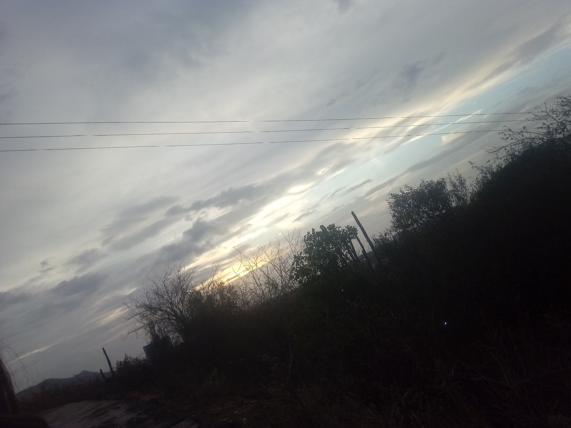 The image presents an outdoor scene at dusk or dawn in Altagracia, Venezuela. The sky is predominantly filled with gray and white clouds, displaying a layered, striated pattern. A patch of light, possibly the sun, is visible on the horizon, partially obscured by vegetation. Three power lines traverse the upper portion of the frame. The lower half of the image is dominated by dark, silhouetted foliage, including trees and shrubs. Details are limited due to the low light conditions. A paved surface is visible in the lower left corner.
