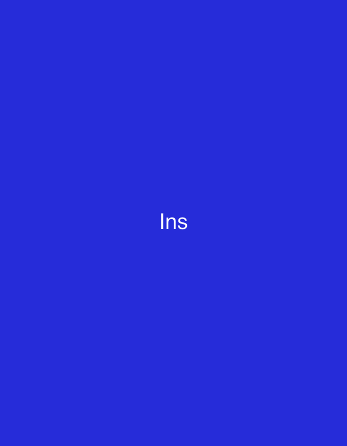 The image displays a solid blue background with the white text "Ins" centrally positioned. No other elements, such as individuals, objects, actions, or environmental context, are present within the frame. The visual content does not provide any identifiable markers or indications of a specific location in Casablanca, Morocco.
