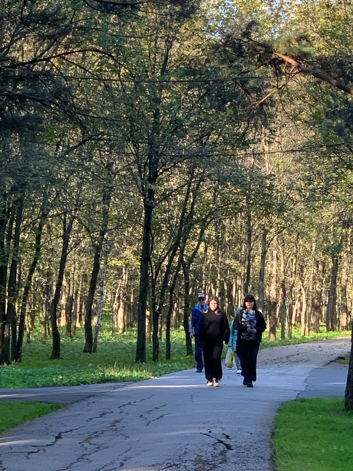 A group of people walks along a paved path in a park-like setting with many trees. The path appears to be made of asphalt with some cracks and vegetation growing along the edges. The trees are deciduous and have green foliage. The lighting suggests it is daytime, possibly late afternoon, with sunlight filtering through the leaves. The people are walking in the same direction, away from the camera. One person in the foreground on the right wears dark clothing and a camouflage jacket. Another person in the foreground on the left wears black sweatpants and a black sweatshirt, with light-colored sneakers. Behind them, other individuals are partially visible, one wearing a blue jacket and a cap. The environment is natural, with grass and dense trees forming a backdrop. The scene is consistent with a walking path in a wooded area of Prokopyevsk, Russia, likely during the warmer months.