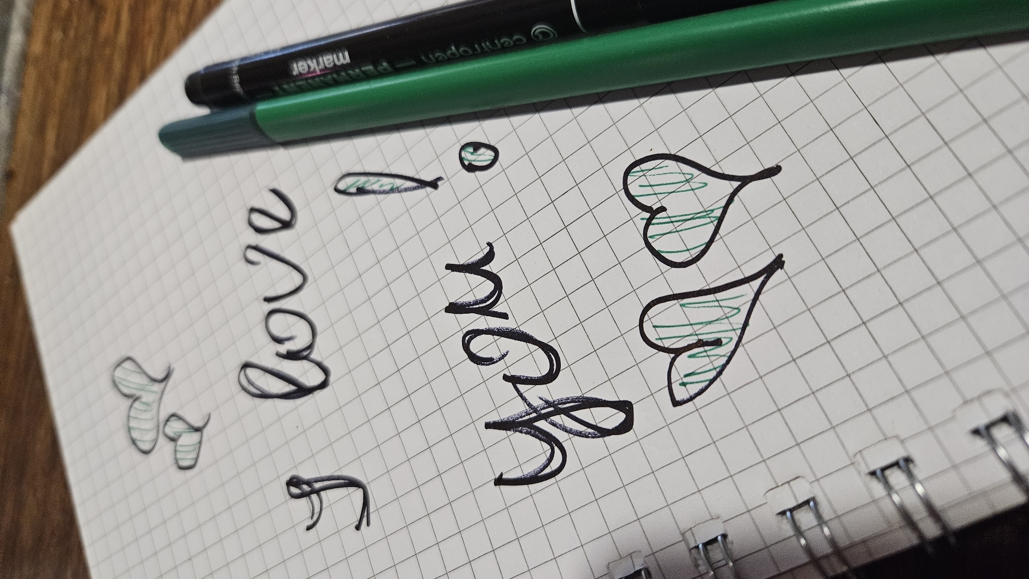 The image shows a close-up, overhead view of a notebook with a handwritten message and drawings. The notebook is open to a page with a grid pattern, and two markers, one green and one black, are placed on the right side of the page, partially obscuring the writing.
The handwritten message, in black ink, says "i love you!". The letters are in a cursive style, with the 'i' in "i" and "love" having a flourish. The word "you" is larger and more stylized, with looping ascenders and descenders. To the left of the "i", there are two small, green hearts drawn in outline. Below the word "you", there are two larger green hearts, also drawn in outline and filled with diagonal green lines.
The background of the image shows the surface of a wooden table, with a slight blur indicating shallow depth of field. The notebook appears to be spiral-bound, as suggested by the rings visible on the left edge of the page. There is no indication of the city of Kapūņi, Latvia, or any specific location within it. The image focuses solely on the notebook, its contents, and the markers.