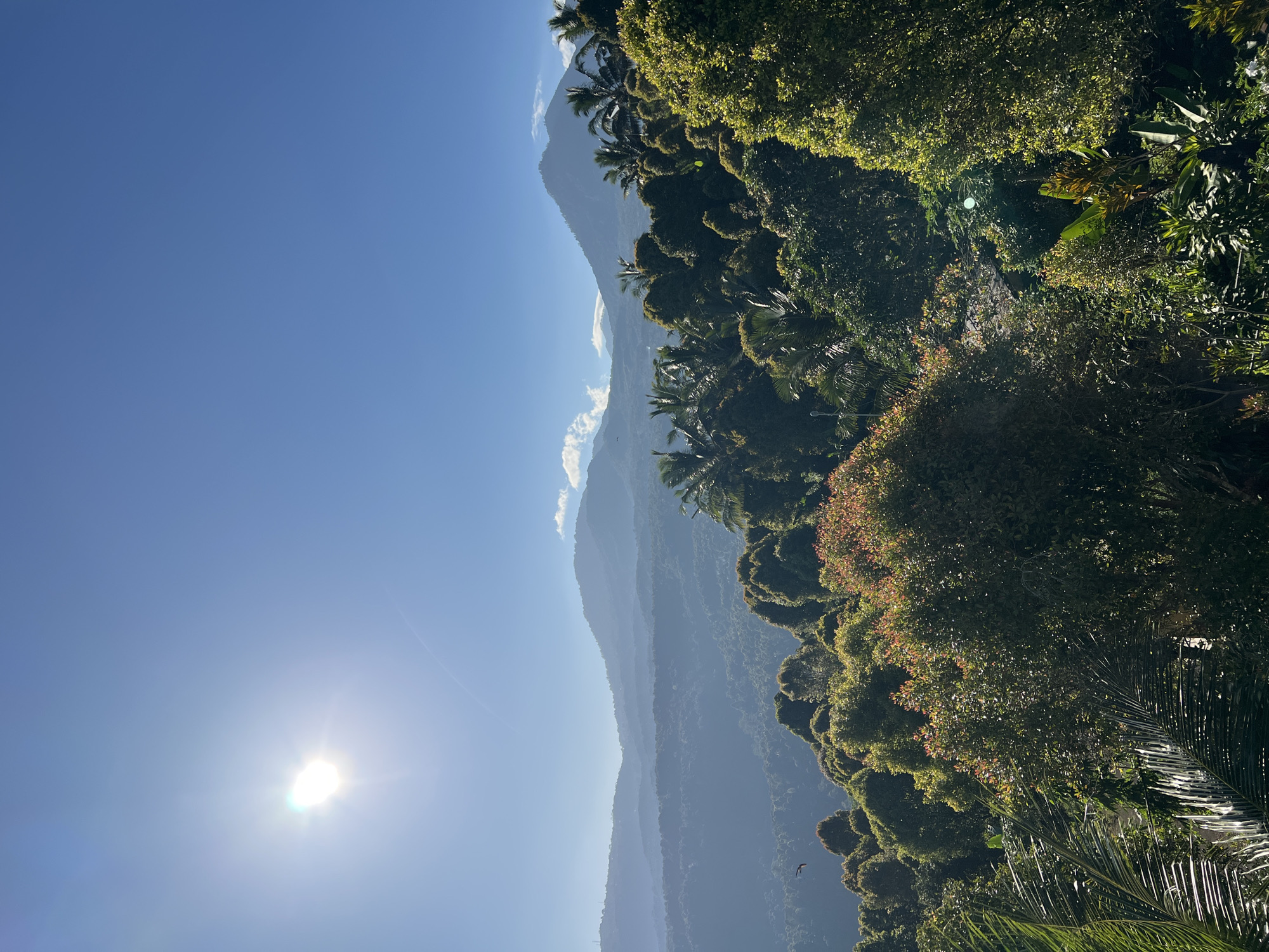 This is an eye-level, medium shot of a lush, green landscape with rolling hills and mountains under a clear blue sky. The sun is bright and high in the sky, casting a warm glow on the scene. In the foreground, dense foliage of various shades of green and reddish-brown trees dominate the frame, with some palm fronds visible on the left. A single bird is captured in mid-flight in the upper left quadrant of the image. The middle ground features more layers of green hills covered in vegetation, fading into a hazy blue in the distance. The background consists of a range of mountains, with the tallest peak prominently visible in the upper right. This vista is characteristic of the natural beauty found in the rural areas surrounding Busungbiu, Indonesia, known for its agricultural landscapes and scenic mountain views.