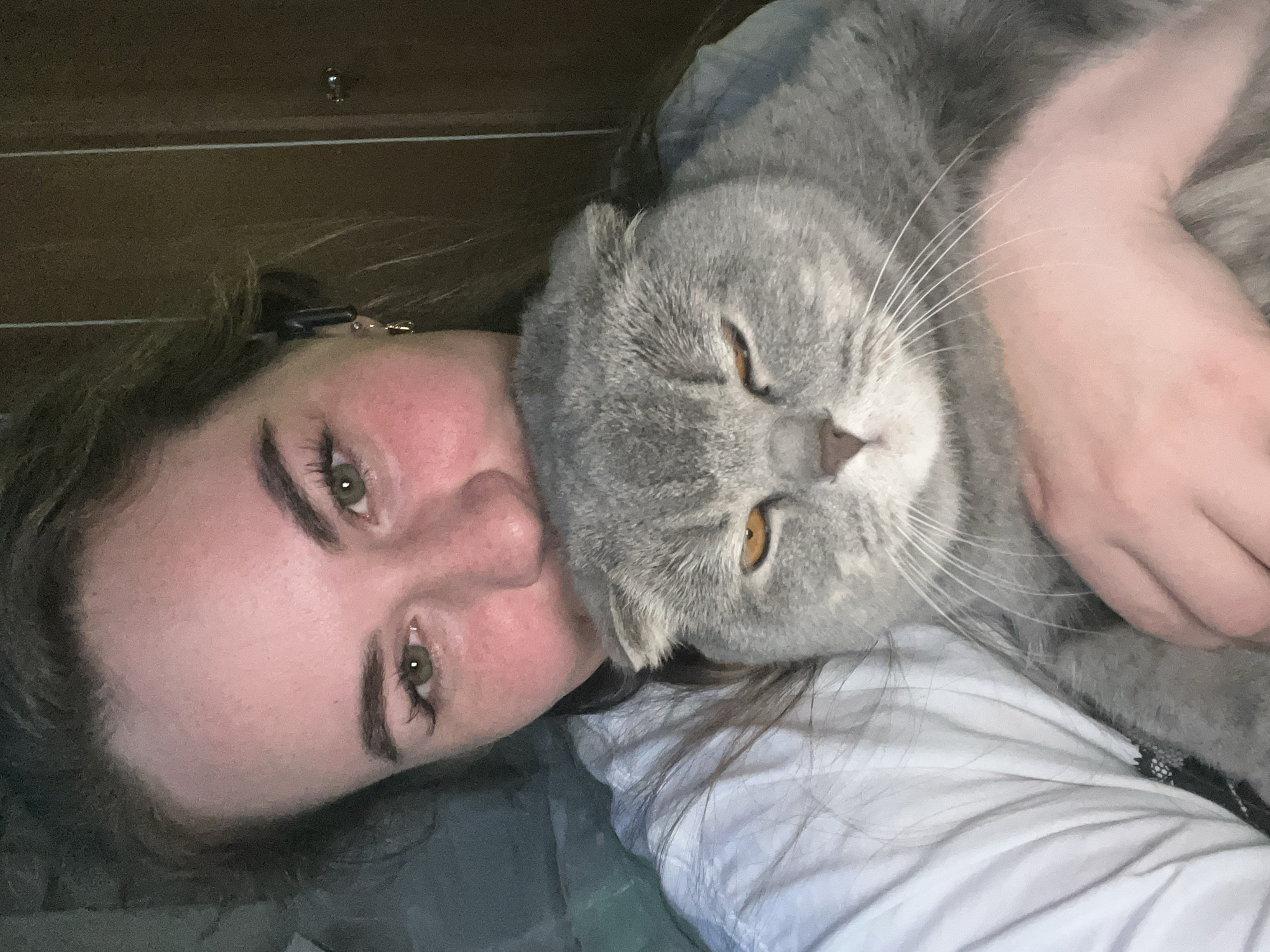 A fair-skinned person with light brown hair, prominent eyebrows, and green eyes is lying down next to a gray Scottish Fold cat. The cat is being embraced by the person's hand. The cat has amber eyes, a pink nose, and white whiskers. Both are positioned on a white, textured surface, possibly a bed or bedding. A wooden cabinet is visible in the background. The location is presumed to be indoors; there is no information about being in the city of Chaikovsky, Russia.