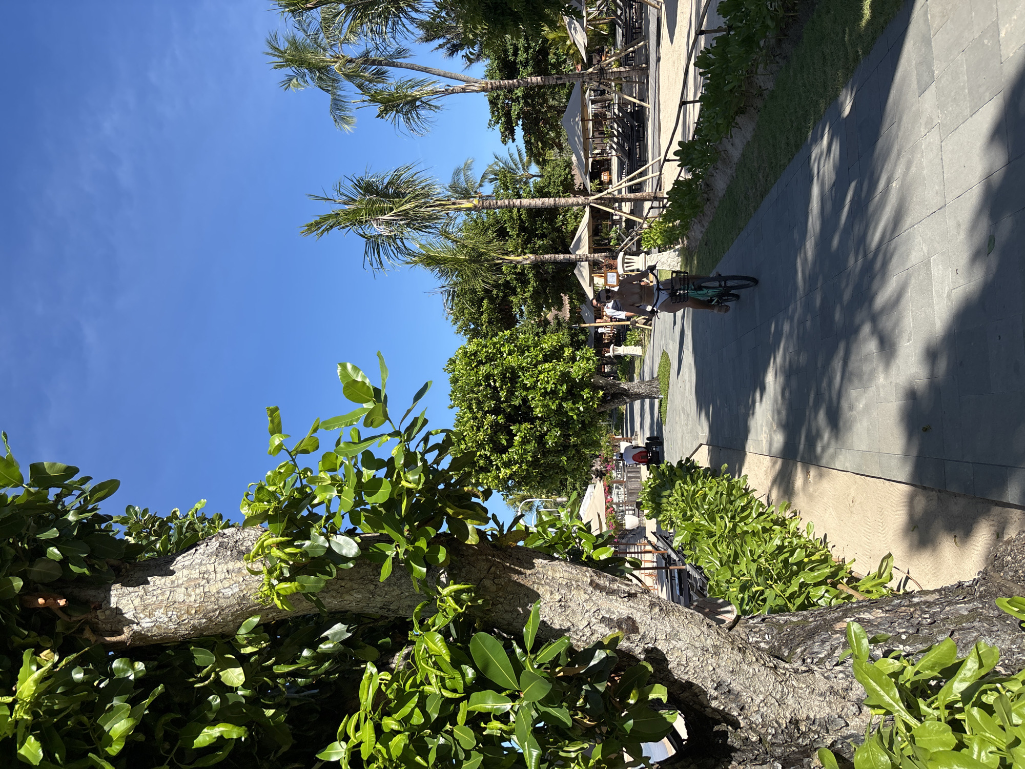 A sunny outdoor scene in an unknown location in Indonesia shows a sidewalk with a person riding a bicycle, a restaurant area with tables and umbrellas, and palm trees. The image is framed by a foreground of tree branches and green foliage. The cyclist is on the right side of the sidewalk, and the restaurant area is further down the sidewalk. The sky is blue and clear.