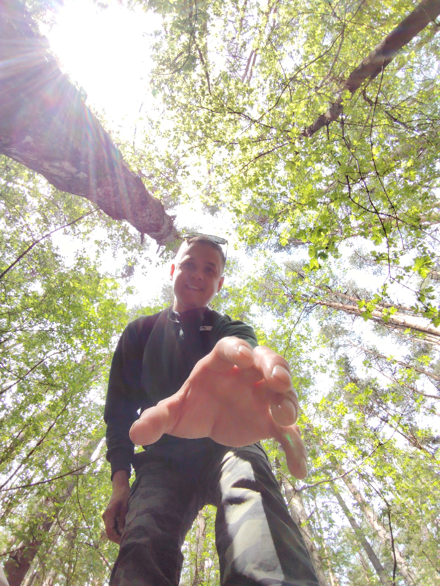 A low-angle shot of a person standing in a forest in Chaikovsky, Russia. The person is wearing a dark sweatshirt and camouflage pants. The person's right hand is outstretched towards the camera. Above the person are trees with green leaves, obscuring most of the sky. Sunlight is visible through the trees in the upper left of the image.