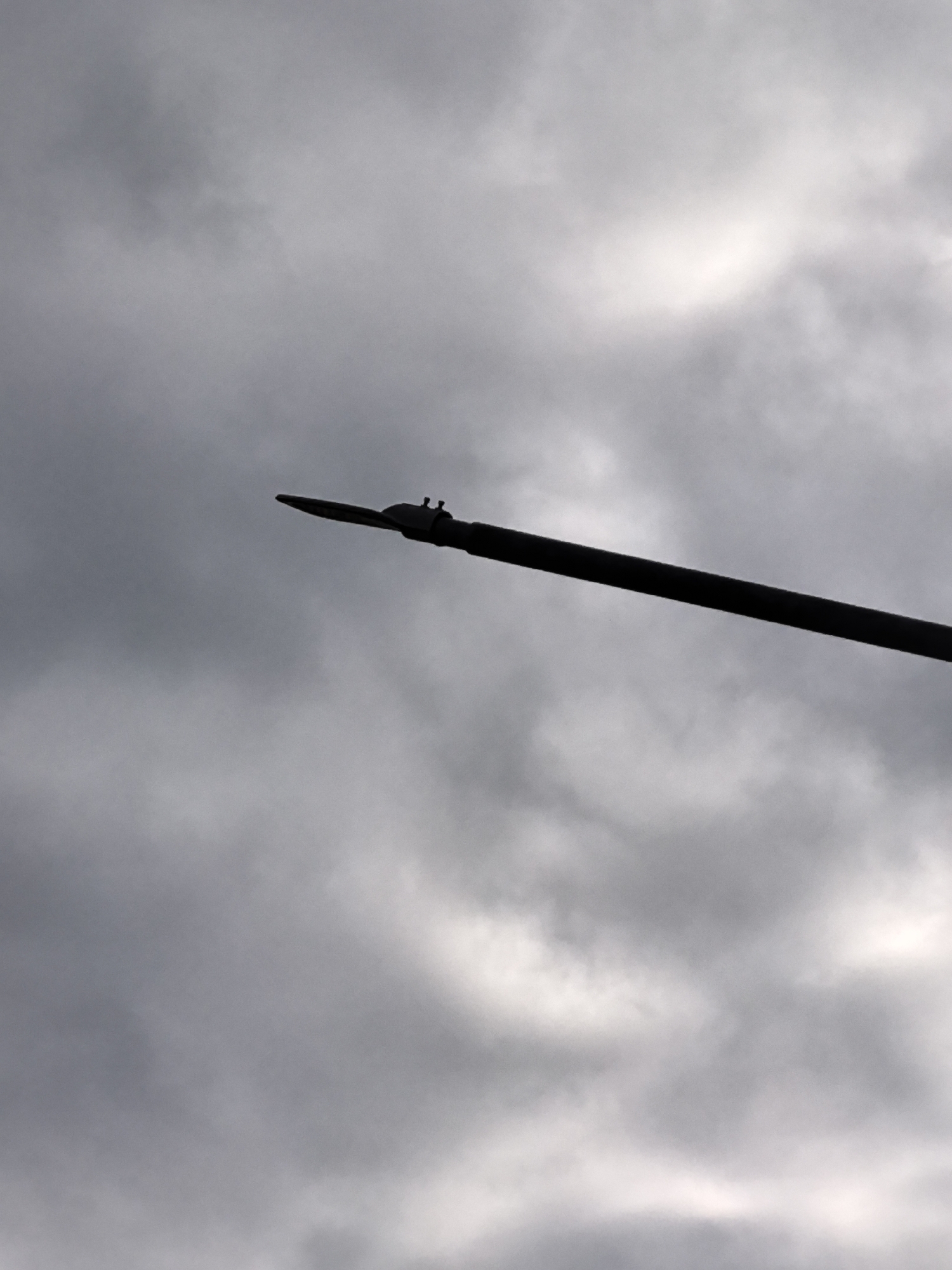 A silhouetted street lamp extends diagonally from the lower right to the upper left of the frame against a backdrop of cloudy gray sky. The lamp is thin and tapers to a pointed end. Two small, round objects, possibly birds or insects, are perched on the lamp near its pointed end. The sky is overcast with diffused light filtering through the clouds.