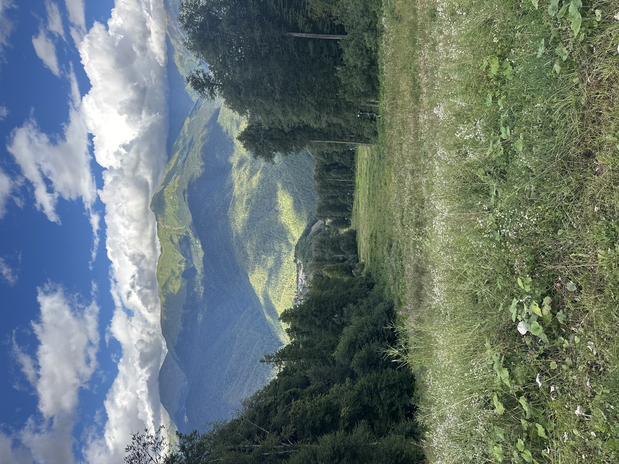 The image depicts a wide, grassy ski slope in the foreground, bordered by dense green trees on either side. The slope is covered in tall grasses and wildflowers, with some patches of bare earth visible. In the background, a range of lush green mountains rises under a partly cloudy blue sky. Sunlight casts dramatic shadows across the mountainsides, highlighting the contours of the terrain. A small cluster of buildings, likely a resort or village, is visible nestled in the valley between the trees and the distant mountains. The overall scene suggests a summer or early autumn day in a mountainous region, possibly the ski resort area of Estosadok, Russia, given its characteristic landscape. There are no people or animals visible in the frame.