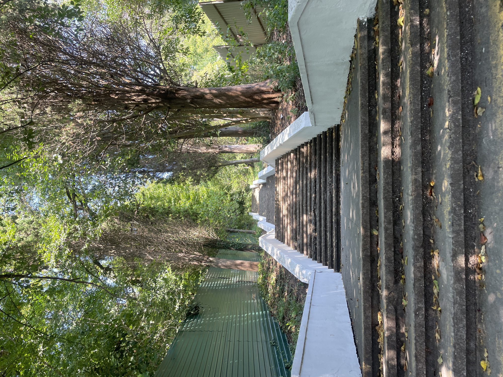 The image depicts a long, wide outdoor staircase made of stone, leading upwards through a leafy, sun-dappled area. The stairs are flanked by low, white-painted concrete railings. The staircase appears to be in a park or a public outdoor space, with dense trees lining both sides. A green corrugated metal fence is visible on the left, and a similar fence is visible in the distance on the right. Scattered fallen leaves are present on the steps, suggesting an autumn setting or a location with deciduous trees. The overall impression is one of a shaded, tranquil ascent. This scene is likely located in the city of Sochi, Russia, given the presence of lush vegetation and the architectural style, which is common in resort towns. There are no people or animals visible in the image.