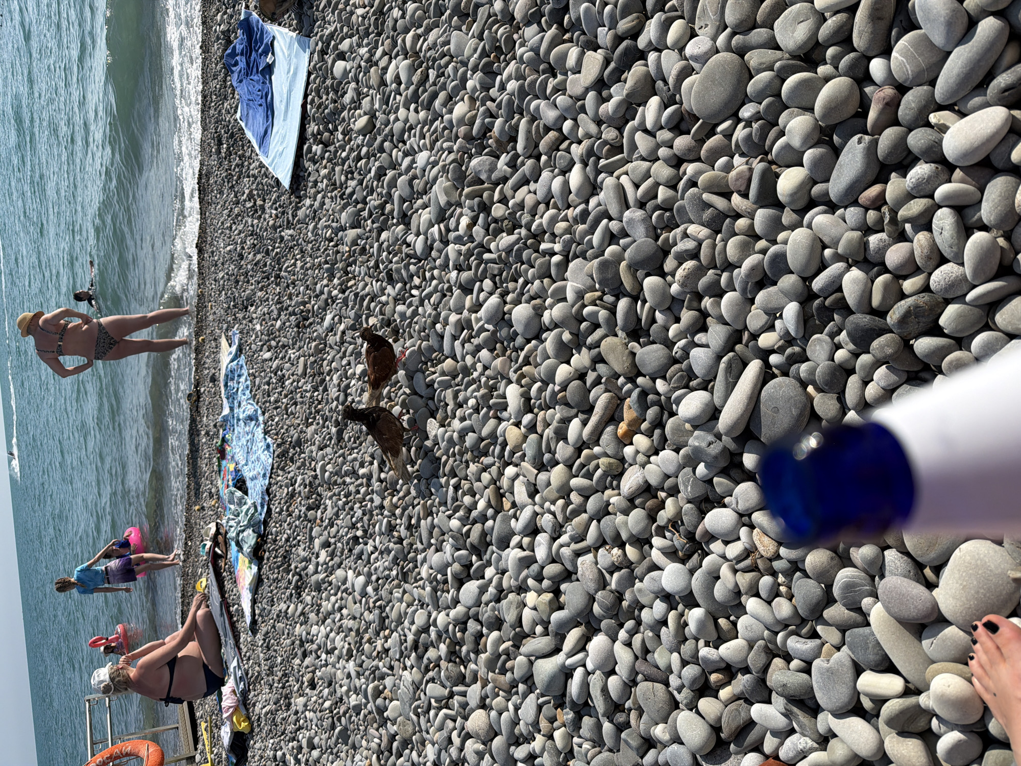 This is an eye-level, full shot on a sunny day of a pebbled beach in Sochi, Russia, with the Black Sea in the background. The foreground is dominated by smooth, grey and beige pebbles, with a white bottle and a person's foot in black nail polish positioned at the bottom. Two pigeons are foraging among the pebbles. In the middle ground, several beach towels and blankets are spread out on the pebbles. In the background, people are enjoying the water; a woman in a bikini stands at the water's edge, and further out, two children are playing with inflatable rings. The water is blue and wavy, and a jet ski is visible in the distance.