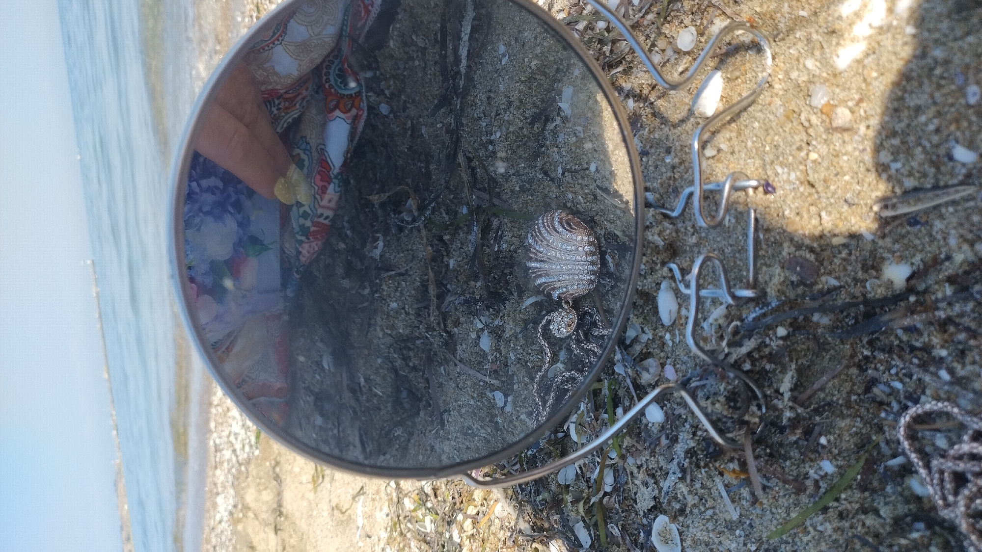 A handheld mirror is placed on a sandy beach with scattered shells and seaweed. The mirror reflects a portion of the sky, the sea, and a distant pier. Inside the reflection of the mirror, a person's hand is visible, holding a small, yellow object, possibly a ring or a gem. The mirror also reflects a patterned fabric with floral designs. In the foreground, resting on the sand beneath the mirror, is a silver necklace with a seashell-shaped pendant encrusted with small, clear stones. The necklace is positioned in front of the mirror, as if it is about to be reflected. The environment appears to be a sunny day at the beach in Perea, Greece, with the calm sea in the background.