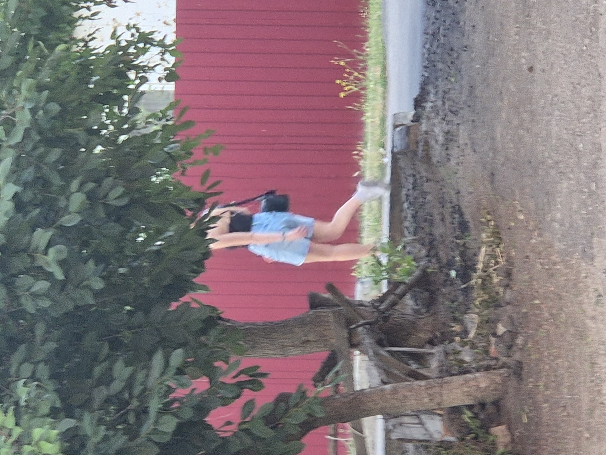 In Sozonivka, Ukraine, a person is walking along a sidewalk next to a red wooden fence. The person is wearing a black top and light blue denim shorts, with a black bag slung over their shoulder. They are also wearing white sneakers. The sidewalk has some dirt and debris on it, and there is a tree with green leaves in the foreground, obscuring part of the scene. Small yellow wildflowers are growing in the grass near the fence. The ground is uneven and appears to be a mix of dirt and gravel. The overall lighting suggests it is daytime.