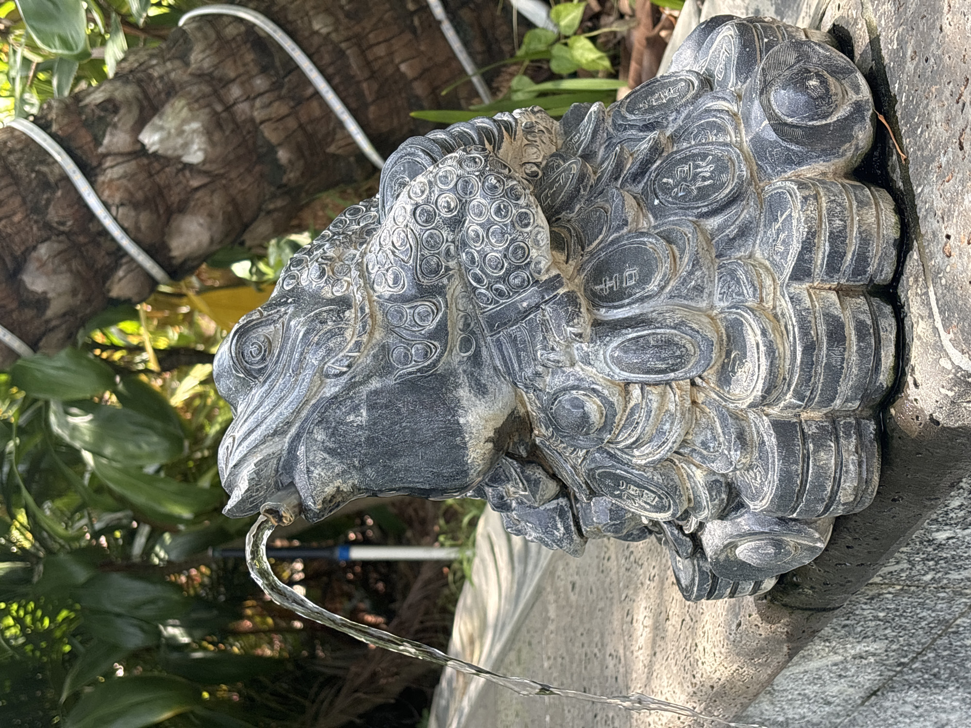 In Yingzhou, China, a stone statue of a toad, intricately carved and weathered, functions as a fountain. Water streams from its open mouth, arching over its head. The toad rests on a base designed to resemble stacked coins, each bearing carved characters. The statue is positioned on a stone ledge bordering a paved area. In the background, lush green foliage from trees and plants creates a vibrant, natural setting, with a thick tree trunk wrapped in a string of small lights visible to the right. The overall scene captures a blend of sculpted art and natural beauty.