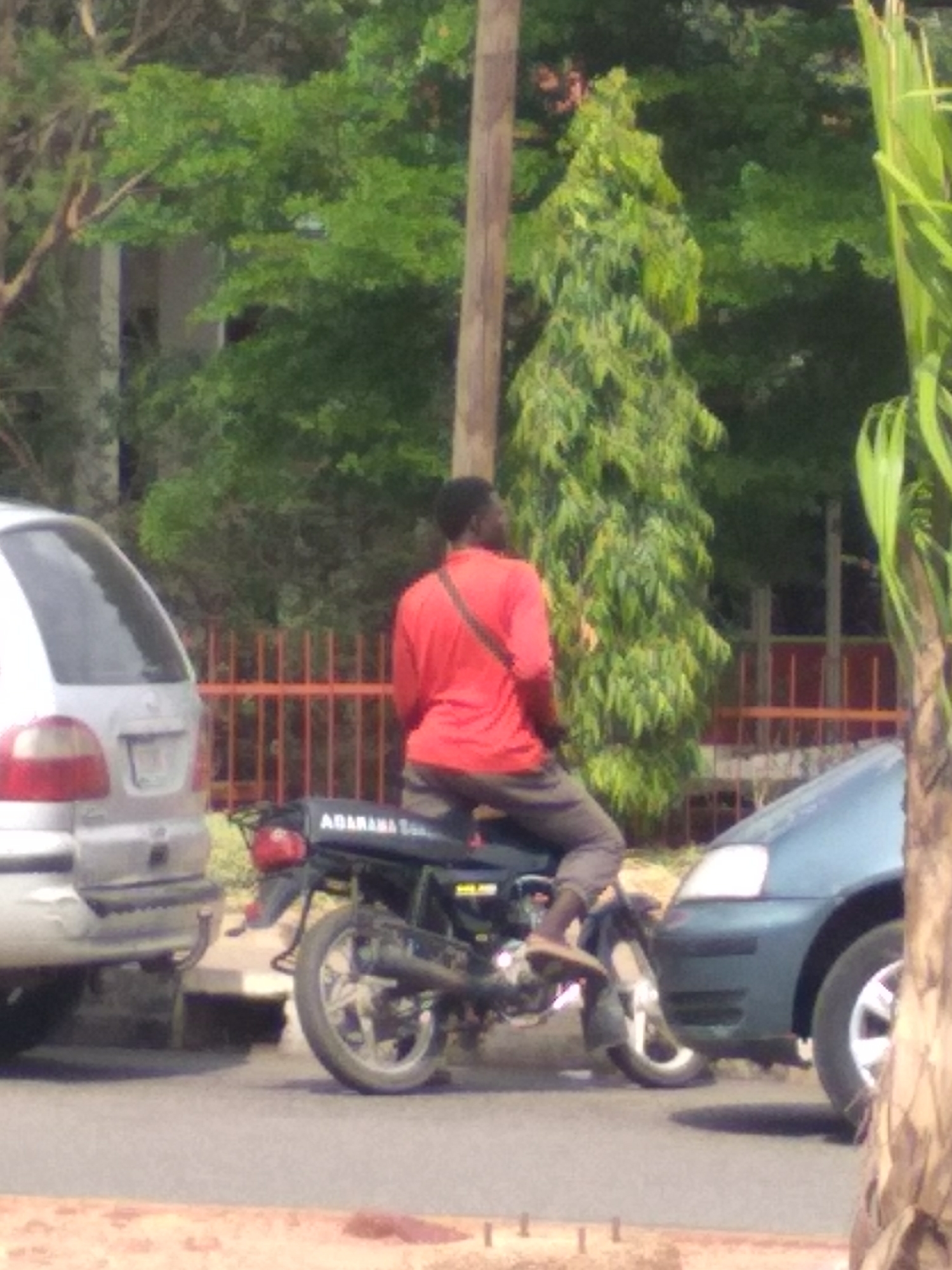 The image depicts a daytime street scene, likely in Jos, Nigeria, featuring a man on a motorcycle, flanked by two cars and surrounded by lush greenery.
The central subject is a man, seen from behind, sitting on a dark-colored motorcycle. He is wearing a red long-sleeved shirt, dark trousers, and sandals, with a dark strap slung diagonally across his back. The motorcycle has the word "ADARAMA" clearly visible in white capital letters on its rear fender. The man appears to be stopped or waiting on an asphalt road.
To the left of the motorcycle, the rear bumper and wheel of a silver minivan or SUV are partially visible. On the right, the front headlight and bumper of a blue sedan or hatchback are also partially seen. Behind the man and the motorcycle, an orange metal fence spans the mid-ground. Beyond the fence, dense green trees and shrubs dominate the background, with a prominent tall, slender, coniferous-like tree in the center-right. Further to the far right, some light green, palm-like foliage is present.
The scene is brightly lit by natural sunlight, suggesting a clear day. No specific activity is discernible beyond the man sitting on his motorcycle, possibly halted at the roadside. The overall impression is of a quiet urban or suburban street.