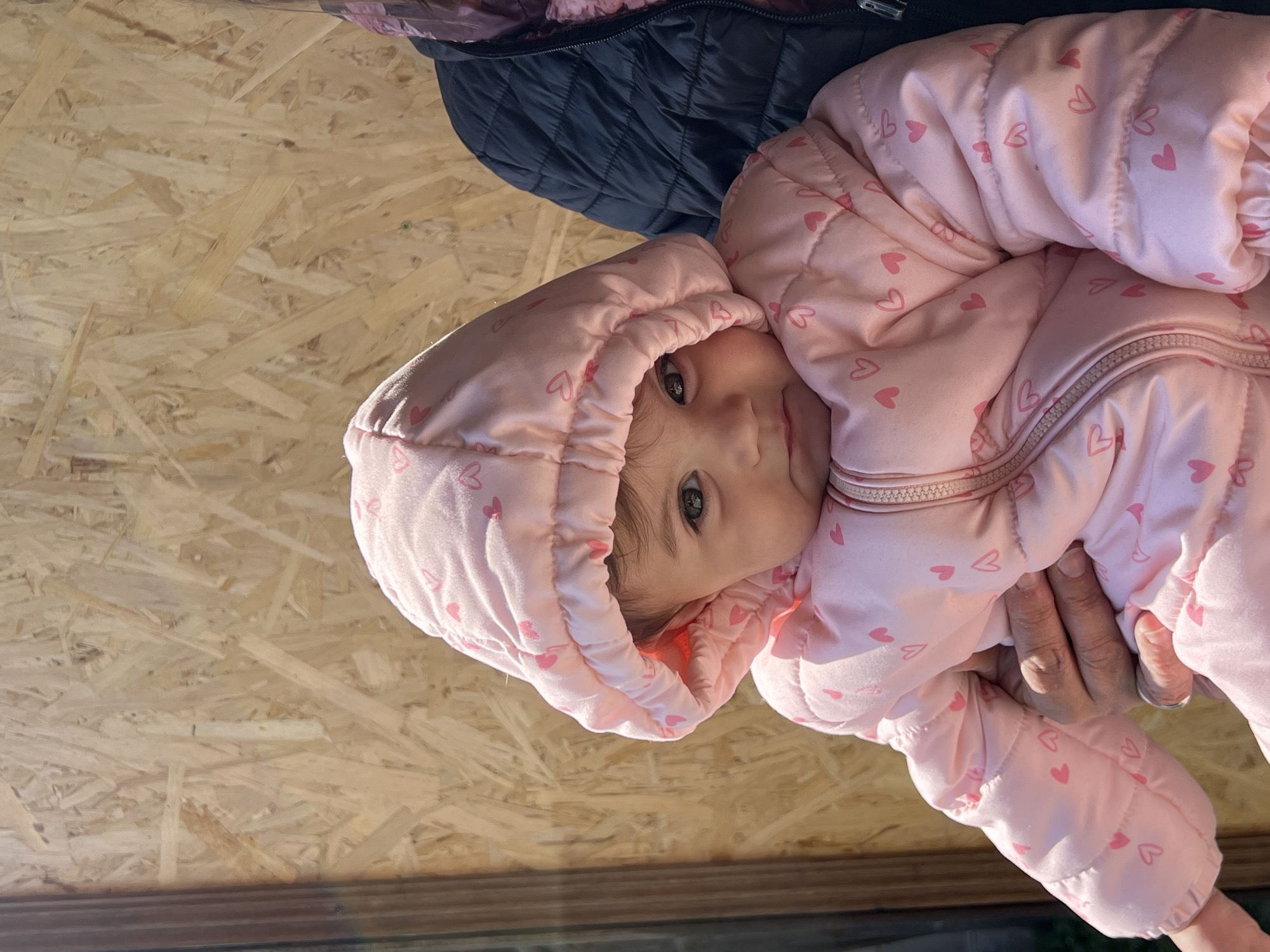 A baby wearing a pink heart-patterned jacket is held by an adult hand, with a wall constructed of oriented strand board (OSB) visible in the background. The jacket appears to be quilted, and the baby is wearing the hood up. Part of a dark-colored jacket lies behind the baby. The location is Elena, Bulgaria, according to given information.