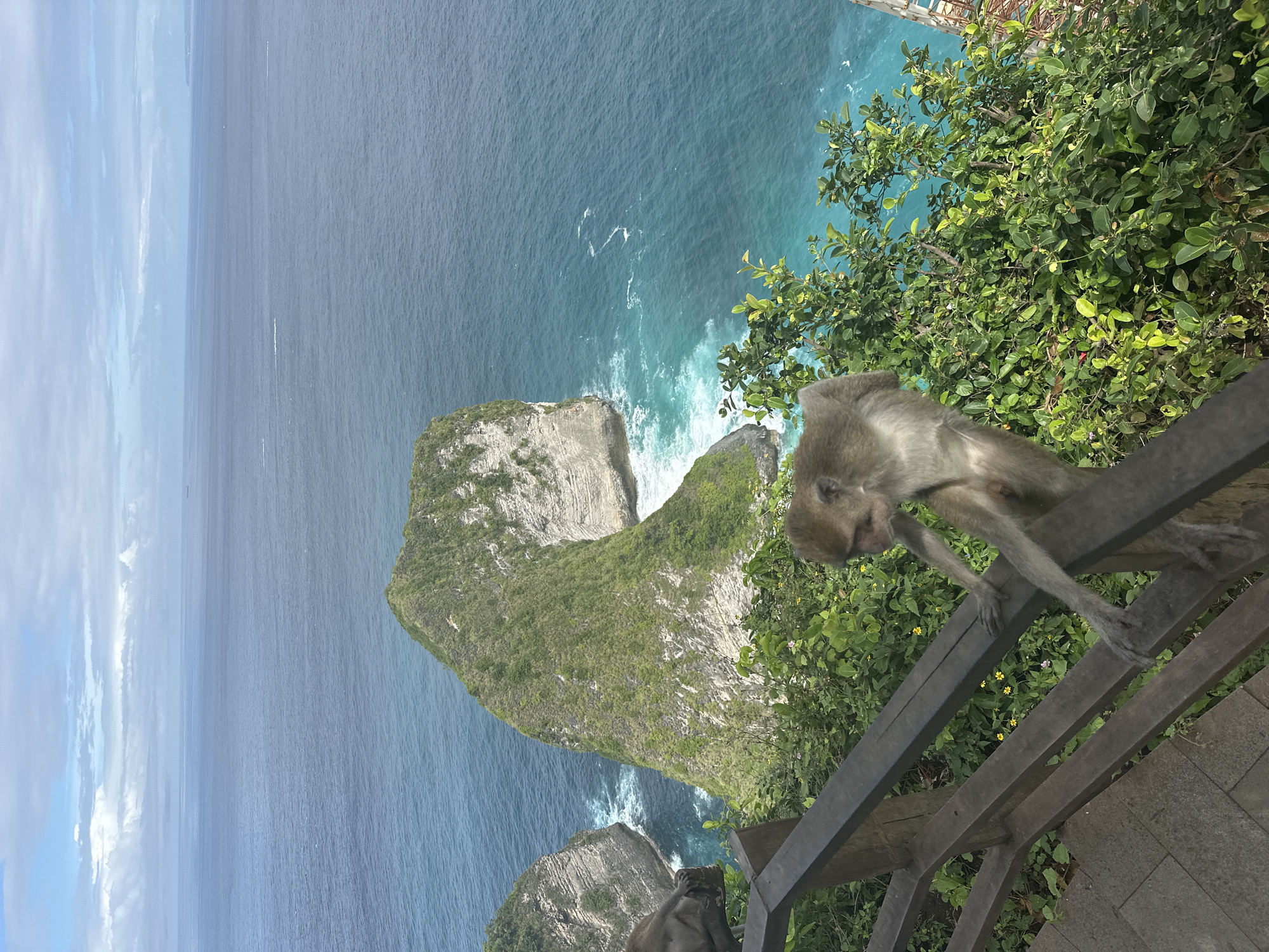 The image depicts a scenic view from Nusa Penida, Indonesia, featuring a rugged coastline, the ocean, and a monkey on a wooden railing. A lush, green, rocky island juts out into the turquoise ocean, with waves crashing against its base. The ocean stretches out toward the horizon under a partially cloudy sky. A monkey, presumably a local inhabitant, is perched on a dark-colored wooden railing that seems to be part of a viewing platform or path, and the railing is surrounded by green foliage.