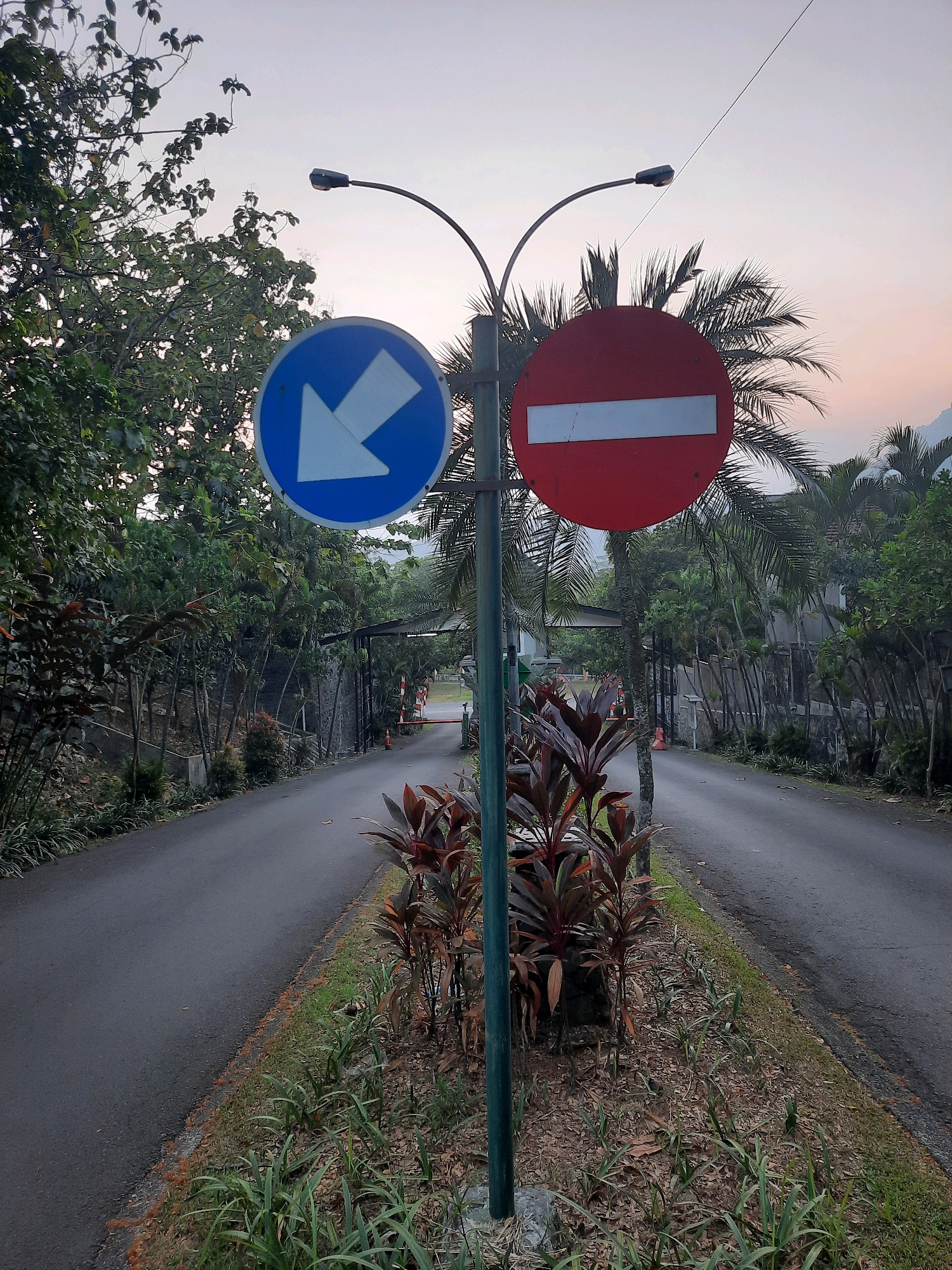 The image captures a street scene in Babakan Madang, Indonesia, at what appears to be dusk or dawn, given the soft lighting and the sky's hue. A paved road splits into two lanes, creating a median strip in the center. On this median, a lamppost stands, supporting two traffic signs. The sign on the left is a blue circle with a white arrow pointing downwards and to the left, indicating a mandatory direction. To its right, a red circle with a white horizontal bar signifies a "no entry" or "do not enter" restriction.
The median is landscaped with a variety of plants, including ornamental plants with red and green foliage and tall grasses. In the background, the road leads towards an entrance, possibly to a residential complex or a private area, marked by an archway and a gate, with security personnel or barriers visible. Dense tropical vegetation, including trees and palm trees, lines both sides of the road, creating a lush, green environment. The sky above is a pale gradient of grey and pink, with a faint light suggesting the sun is low on the horizon. No people are visible in the immediate vicinity of the signs and road. The overall impression is a quiet, well-maintained street in a tropical setting.