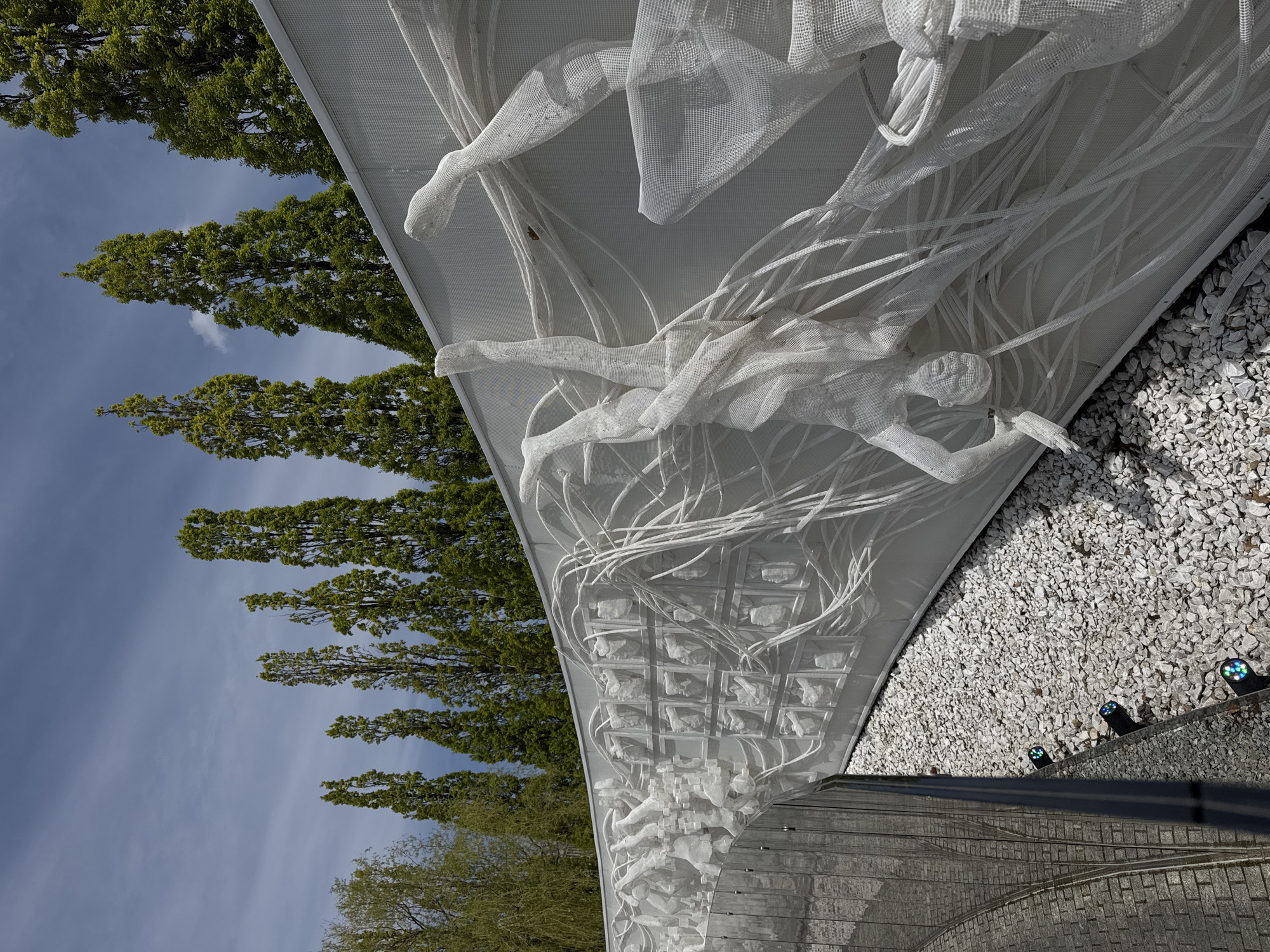 This image captures an outdoor art installation featuring ethereal, mesh-like sculptures of human figures. The figures, rendered in white perforated material, appear to be swimming, floating, or emerging from a large, curved white wall or panel. Some figures are clearly discernible as full bodies with outstretched limbs, while others are more abstract, with long, flowing mesh tendrils extending from them.
The white sculptural wall is set against a background of tall, slender trees with vibrant green foliage, standing vertically against a bright blue sky with scattered white clouds. Below the main installation, there is a neatly arranged bed of white crushed stone or gravel, interspersed with small, colorful uplights. A darker, possibly metallic, lower wall or barrier is also visible along the bottom edge of the gravel bed.
The scene is well-lit by natural daylight, indicating a clear, sunny day. The artistic style and public setting suggest a contemporary art piece, possibly a memorial, emphasizing themes of movement, spirit, or transition. The image is presented in a rotated orientation, with the trees appearing to grow sideways if not re-oriented. No specific text is visible on the installation or in the surrounding environment.