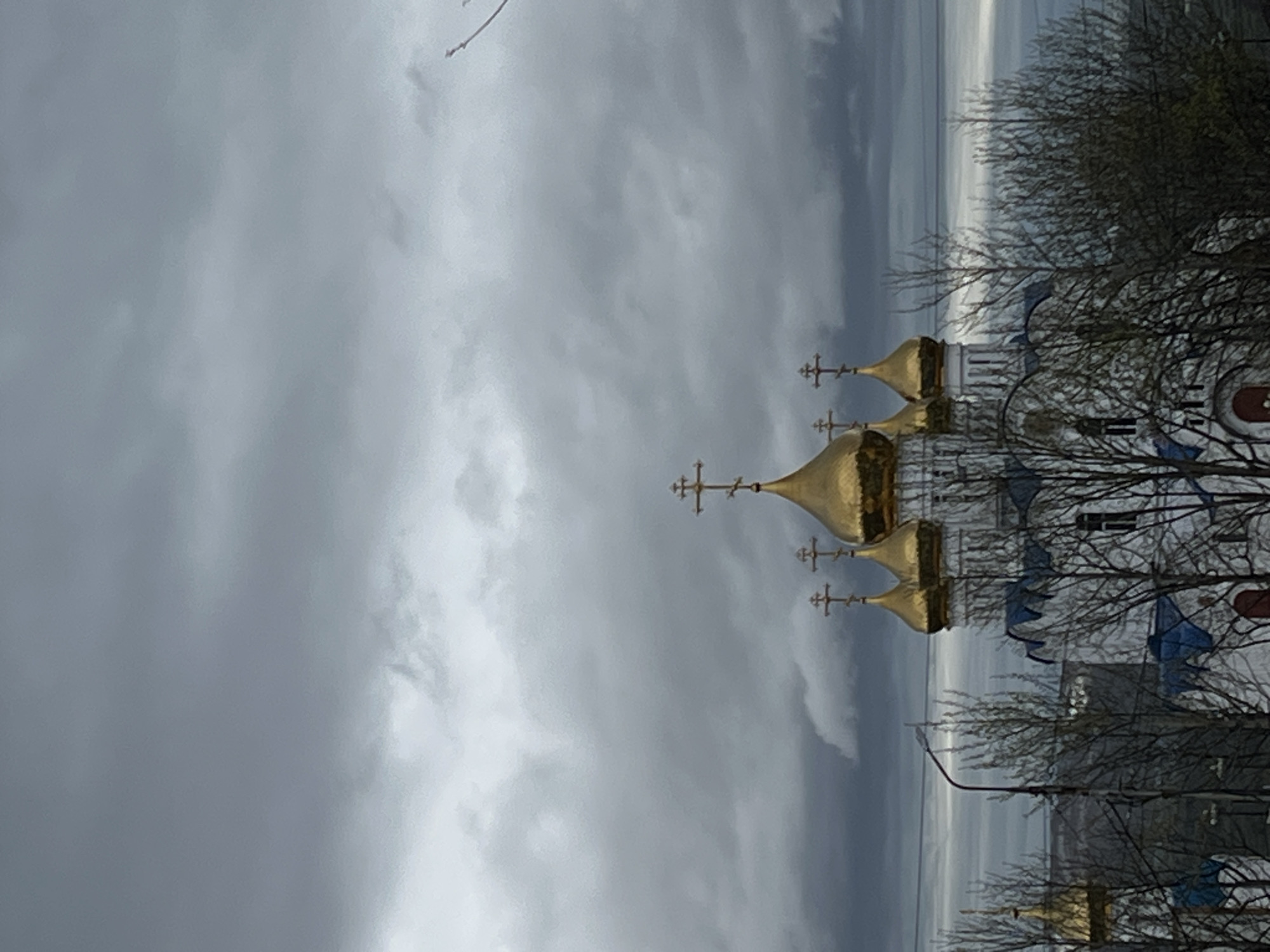 This image presents a serene, slightly somber outdoor scene featuring an Eastern Orthodox church under a heavily overcast sky. The photograph is oriented vertically, showing the church on the right side of the frame, framed by bare trees, with the expansive grey sky dominating the left.
The central subject is a traditional Russian Orthodox church, characterized by its white facade and multiple glistening golden, onion-shaped domes. At least five domes are clearly visible, each topped with an ornate Orthodox cross. Subtle blue architectural elements or roof sections are also discernible on the church structure.
Bare deciduous trees, their branches devoid of leaves, are prominent in the foreground and midground, creating a dense, intricate pattern that partially obscures the church and extends across the right side of the image. The starkness of the trees suggests either late autumn or winter.
The majority of the left and upper portions of the frame are filled with a heavily clouded, uniform grey sky, indicating an overcast day. In the distant background, beyond the church and trees, a distinct horizontal line suggests a body of calm water meeting a slightly brighter band of sky on the horizon. This is likely Avacha Bay or the Pacific Ocean, consistent with the location context of Petropavlovsk-Kamchatsky, Russia.
No people or specific activities are depicted, contributing to the quiet and contemplative mood of the scene. The muted colors and heavy cloud cover create an atmosphere of tranquility and solemnity. No visible text is present in the image.