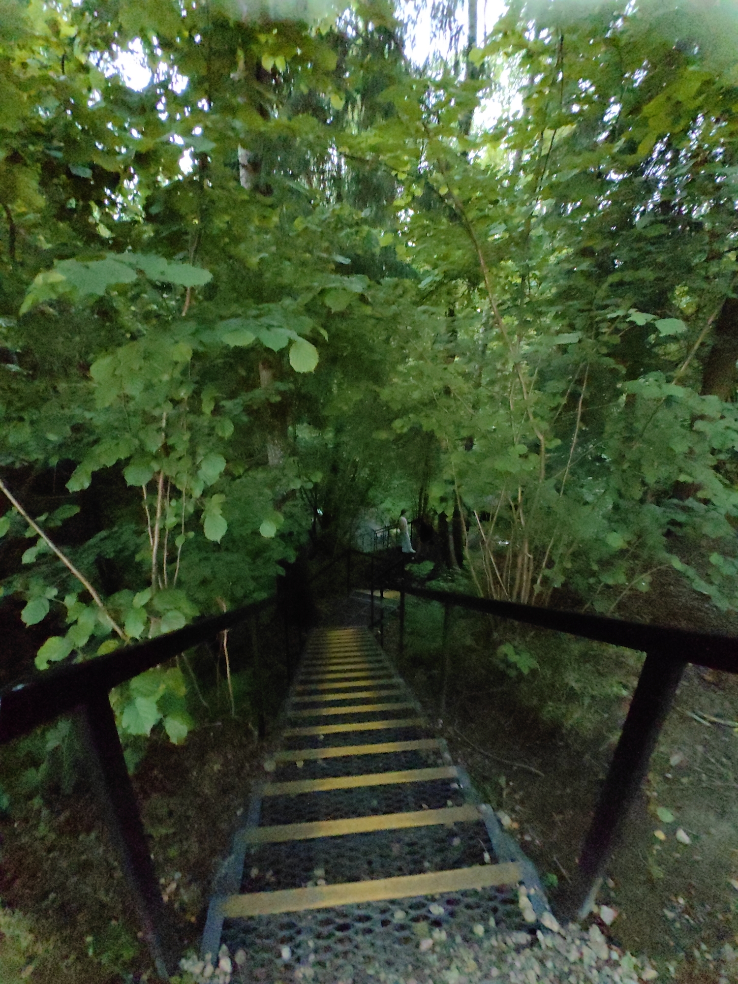 A person is walking down a metal staircase with yellow markings on the steps, surrounded by dense green foliage and trees. The staircase has black metal railings on either side. The scene appears to be in a natural setting, possibly a park or forest area. The lighting suggests it is either early morning or late afternoon. The location is identified as Дзямідавіцкі сельскі Савет, Belarus.