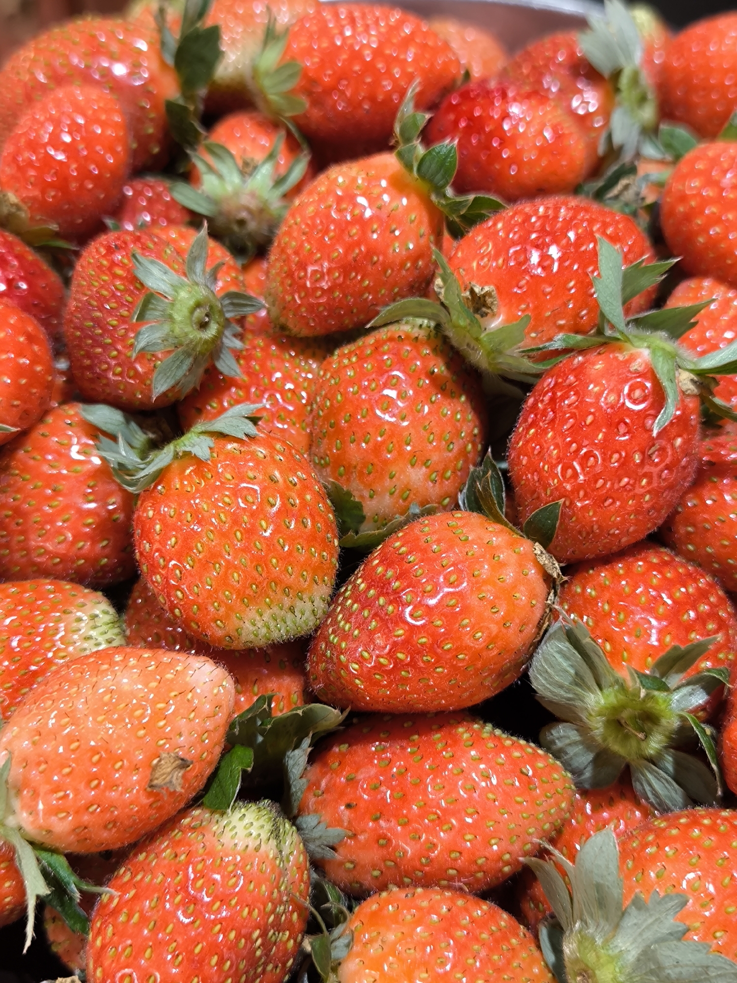 A close-up, full-frame shot shows a pile of ripe strawberries with green stems and leaves. The strawberries are predominantly red and some are speckled with yellowish seeds. Some strawberries appear to be slightly underripe with green around the base. This image was taken in Candikuning, Indonesia.