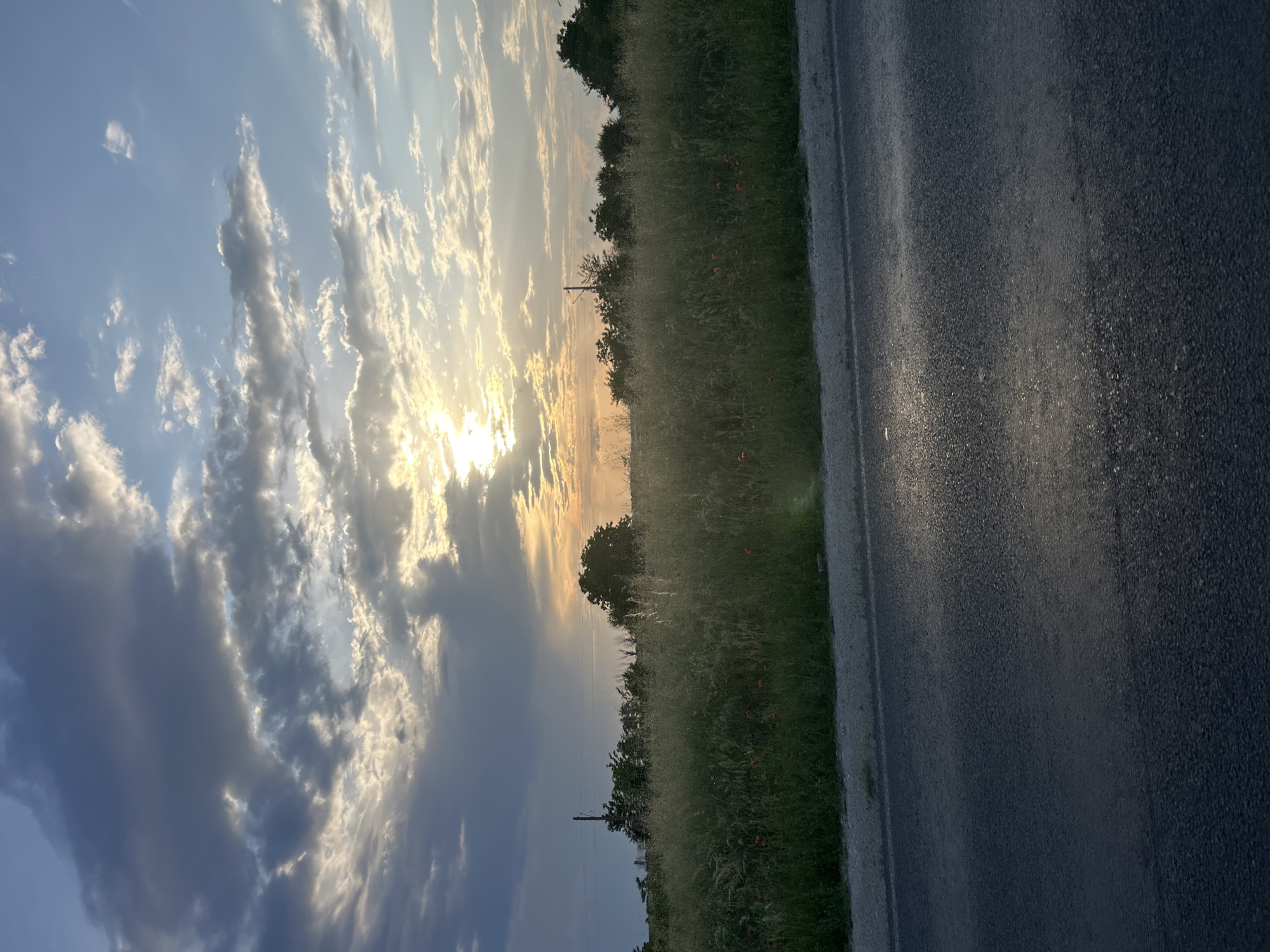 This landscape image depicts a serene countryside scene, likely captured at either sunrise or sunset, in the vicinity of Graf Ignatievo, Bulgaria.
The sky occupies the upper portion of the frame, dominated by a mix of clouds. On the left side, the sun, a bright golden orb, is low in the sky and partially obscured by some of the clouds, casting a warm, golden light that radiates across the scene. Some clouds are brightly lit and wispy, while others appear darker and more textured, creating a dynamic sky.
Below the sky, a wide expanse of green grass and weeds stretches across the midground. Several small, scattered red or orange flowers, possibly poppies, are visible within the grassy field, adding subtle spots of color. Beyond this field, a line of trees and bushes forms the horizon, marking the transition to the distant background. A utility pole with visible wires can be seen amongst these trees, indicating a touch of human infrastructure within the natural setting.
On the right side of the image, an asphalt road runs into the distance. Its surface appears dark and textured, with areas reflecting the warm sunlight, highlighting its granular quality. A subtle lighter line delineates the edge of the road, separating it from the grassy verge.
No people, animals, vehicles, or text are visible in the image. The scene conveys a sense of peacefulness and tranquility, characteristic of a quiet moment in the rural landscape during the golden hour. The soft, dramatic lighting enhances the natural beauty of the Bulgarian countryside.
