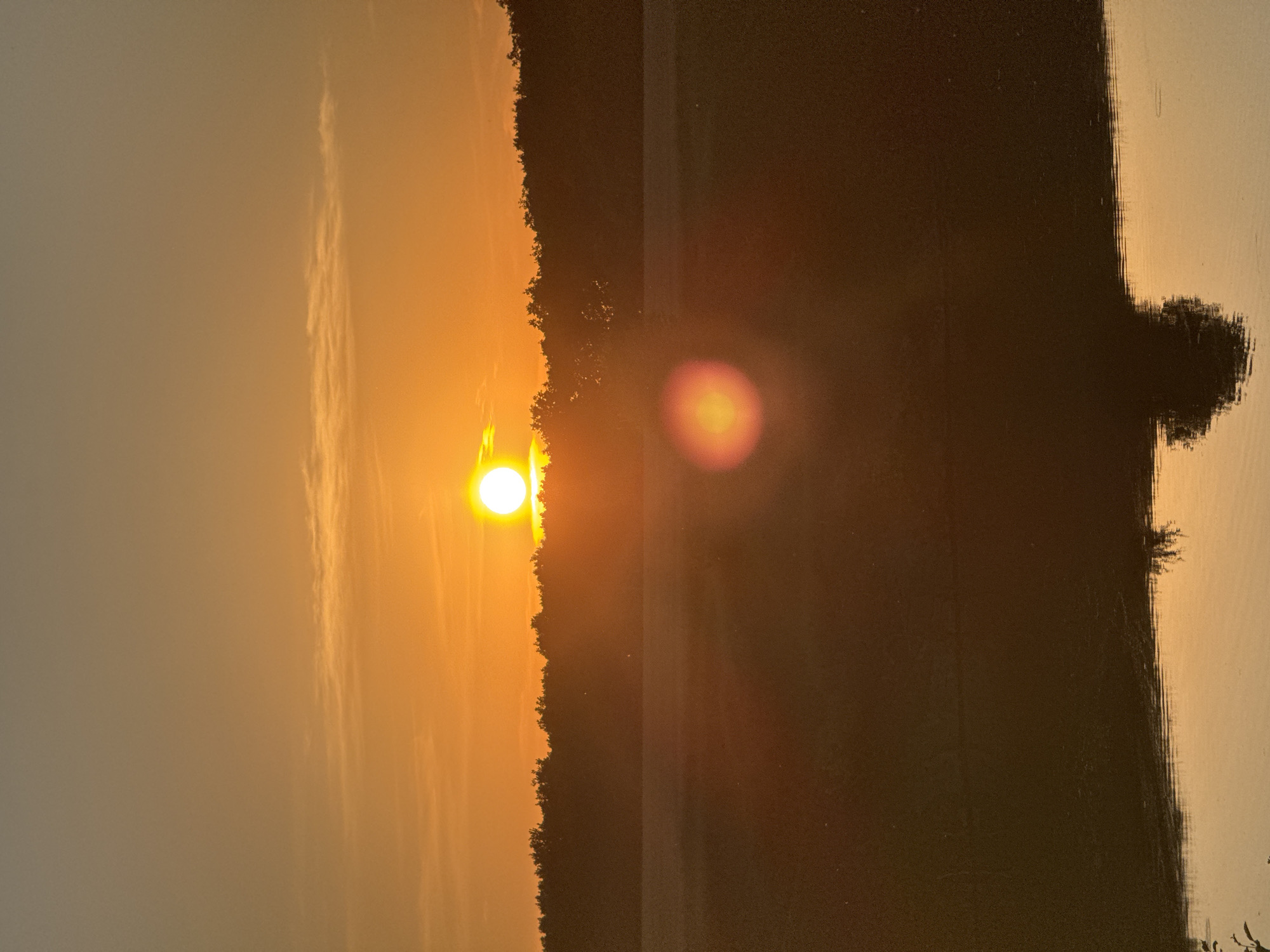 This media file depicts a sunset over a body of water, likely a river or lake, in Pylypcha, Ukraine. The sun, a bright orb of light, is setting on the left side of the frame, casting a warm, golden glow across the sky. Wisps of clouds are visible, catching the light and adding texture to the scene.
A dark silhouette of trees forms a distinct line between the sky and the water, suggesting a wooded shoreline. The water itself is calm and reflective, mirroring the colors of the sunset and the dark outline of the trees. The overall impression is one of tranquility and natural beauty.
The time of day is clearly sunset, indicated by the low angle of the sun and the warm, orange hues in the sky. The weather appears clear, with the exception of the scattered clouds. No people or specific objects are discernible in the image, focusing solely on the landscape. The scene evokes a sense of peace and the end of a day. There is no visible text in the media file.