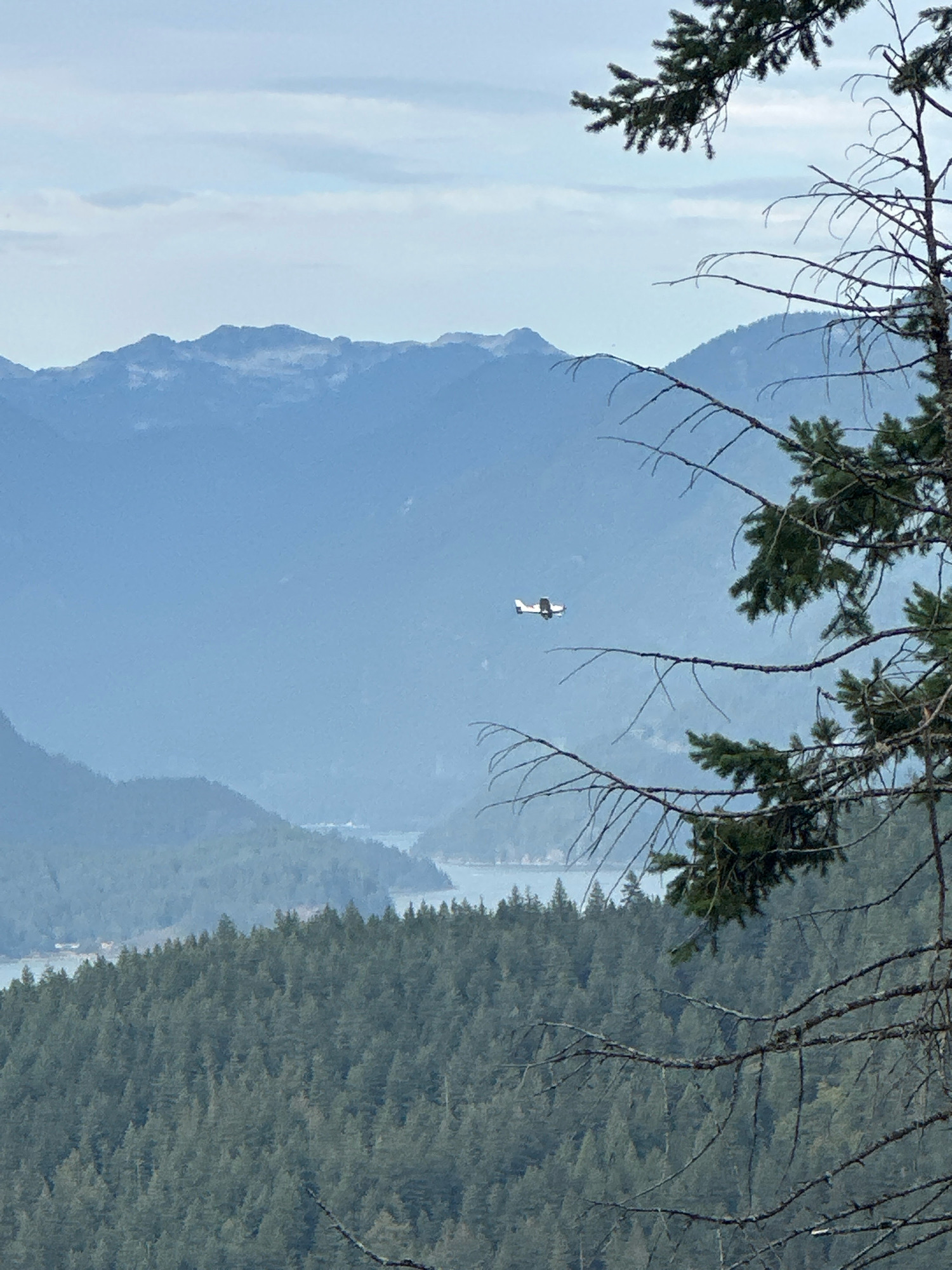 An airplane flies across a hazy, mountainous landscape. In the foreground, tree branches obscure part of the view. The mountains in the background appear misty and layered, with a body of water visible in the middle ground. The sky is overcast with light clouds. The scene appears to be an outdoor nature setting with a remote and elevated perspective. This specific view is consistent with locations in the forested, hilly regions of Burnaby, Canada, such as near the top of Burnaby Mountain or other elevated parks within the city.