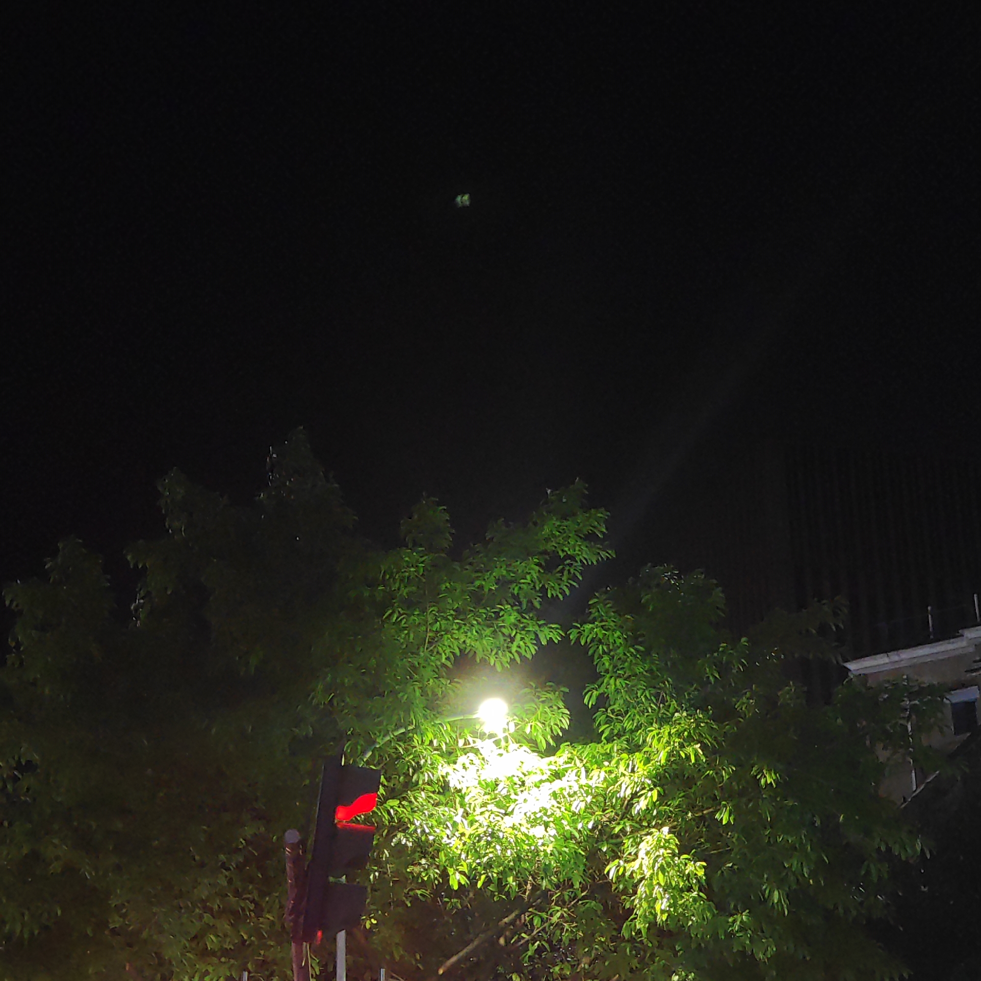 The image shows a night scene in Yuzhong District, China. A streetlight illuminates a dense tree, casting a bright glow. A traffic light with a red signal is visible to the left of the tree. A tall building is present in the background to the right. In the upper portion of the image, there are two small, blurry green lights in the distance, possibly reflecting off something.