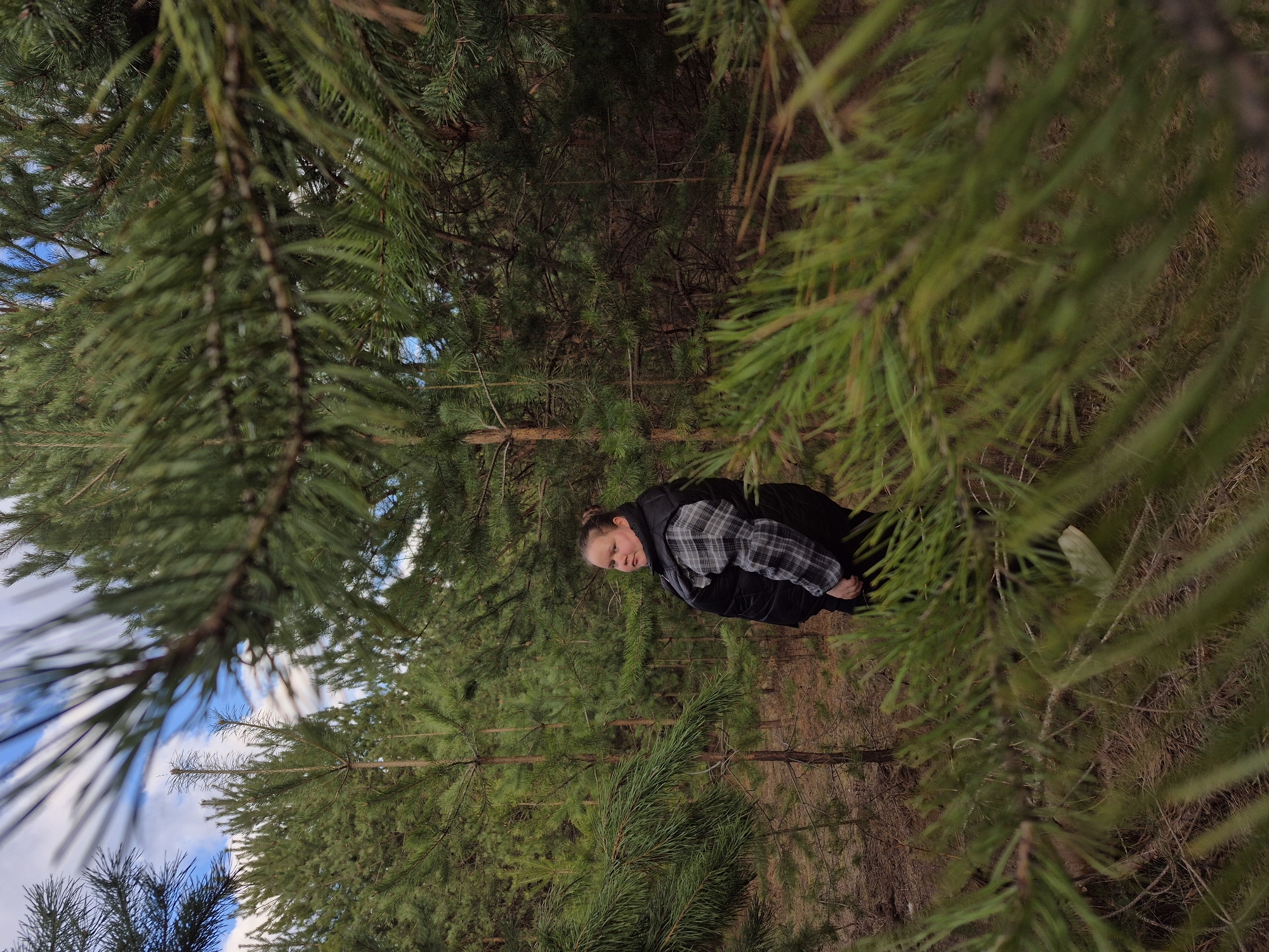 A portrait-oriented photograph, rotated 90 degrees clockwise, depicts a woman standing within a dense coniferous forest. The woman, positioned towards the center-right of the frame, is looking towards the viewer with a neutral expression. She is dressed in a black puffer vest over a black, white, and grey plaid shirt, with dark trousers. Her hair is styled in a bun.
The scene is set in a pine forest in Chaikovsky, Russia, with numerous green pine trees filling the frame from foreground to background. The image is composed from a low angle, looking up through the tree branches, with blurred pine needles in the immediate foreground and along the edges, framing the subject. Patches of a cloudy blue sky are visible through the gaps in the tree canopy, indicating it is daytime. The forest floor is covered with dry grass and pine needles. There is no visible text in the image.
