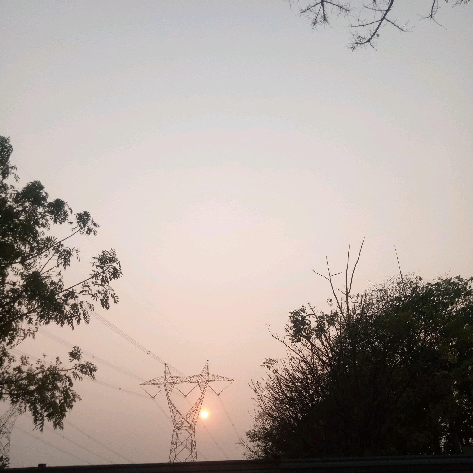 The image captures a power pylon against a pale, overcast sky, possibly during sunrise or sunset, as indicated by a soft, diffused light. The pylon is a tall, lattice-steel structure, typical of high-voltage transmission lines, with wires extending horizontally from its arms. To the left and right, trees frame the scene. The tree on the left is lush and green, its leaves casting shadows. The tree on the right is more sparse, with bare branches and some foliage at the top. A thin, dark line runs horizontally across the bottom of the image, likely a road or barrier. The overall impression is one of a rural or semi-rural landscape, where electrical infrastructure intersects with nature. The light suggests a time of day with diffused sunlight, possibly indicating a hazy or cloudy atmosphere. There are no people or animals visible in the image.