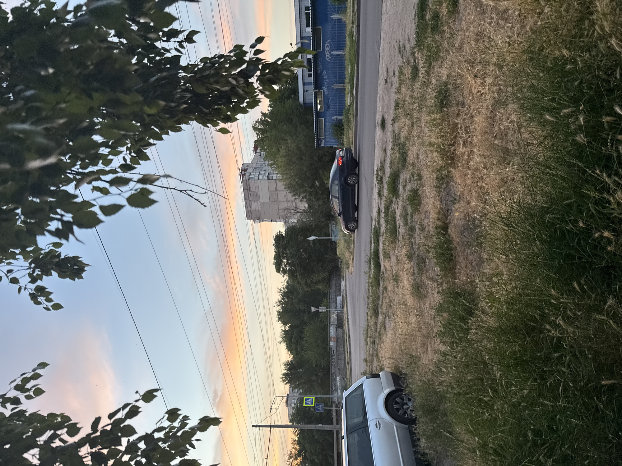 The image depicts a street scene in Zaporizhzhia, Ukraine, during what appears to be sunset or twilight. A silver station wagon is parked on the left side of the frame, facing away from the camera and partially obscured by tall, dry grass and some green foliage in the foreground. Across the road, a dark sedan is in motion, traveling from left to right.
In the background, a light-colored, multi-story building with many windows stands amongst a dense line of green trees. To the right of this building, a low, blue industrial structure with multiple windows is visible, featuring graffiti on its facade. Overhead, power lines crisscross the sky, and a street light pole with pedestrian crossing signs is present on the left side of the road. The sky displays soft pastel colors, with hues of pink, orange, and blue, indicative of a sunset. The overall environment appears to be an urban or suburban setting, with a mix of residential, industrial, and natural elements. The scene is calm and devoid of any visible human activity beyond the moving vehicle.