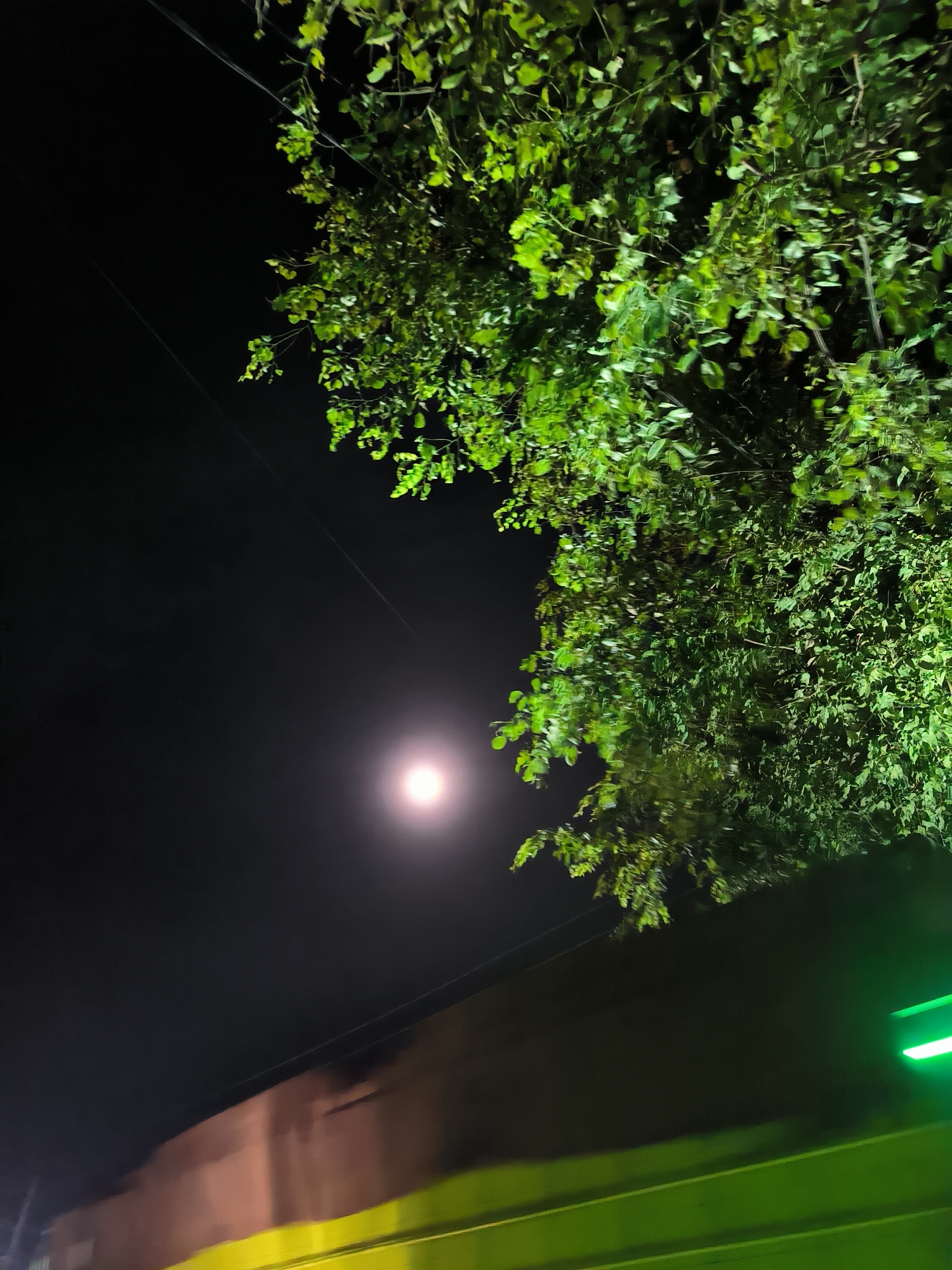 This media file presents an outdoor night scene in Blangpanjoe, Indonesia, likely captured from a moving perspective. The upper and right portions of the image are dominated by a lush tree with vibrant green leaves, brightly illuminated against the dark night sky. In the upper-middle left, a prominent, circular, and intensely bright white light source, resembling a full moon or a powerful artificial light, emits a soft glow.
Thin, dark utility wires are visible stretching across the upper left quadrant of the dark sky. Below these wires, a blurred, muted brown or orange-toned building or wall structure occupies the lower-left section of the frame. The very bottom of the image features significant motion blur, with a striking, bright green streak dominating the lower right, possibly from a light source, reflection, or part of a moving object, contrasting with the blurred brown structure to its left. No people or visible text are present in the image. The scene captures a dynamic nighttime ambiance, highlighting the illuminated foliage and the central light source against the dark surroundings, suggesting it was taken from a vehicle or while the camera was in motion.