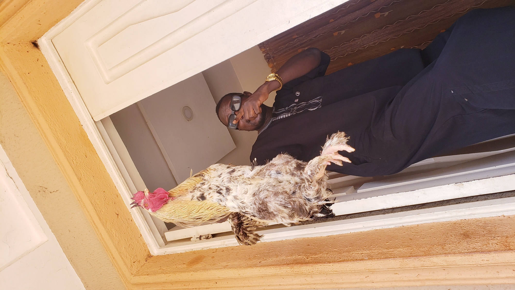 A low-angle shot captures a dark-skinned man holding a large rooster in an open doorway or window. The man, wearing a black long-sleeved garment with embroidered detailing, black trousers, and sunglasses, looks directly at the camera. A gold-colored watch is visible on his left wrist, and his right hand is raised near his face, possibly adjusting his glasses. He holds a primarily white and light brown rooster with prominent red comb and wattles, its head facing towards the viewer.
The setting appears to be an interior space, viewed from outside. Inside the room, a white wall is visible, along with a circular recessed light fixture on the ceiling and a patterned curtain in the background. The doorway or window frame is a light, off-white color, surrounded by a textured, light brown or tan wall. The lighting suggests it is daytime. This scene is likely taking place in Sabon Tasha, Nigeria, as per the provided context. There is no visible text in the image.
